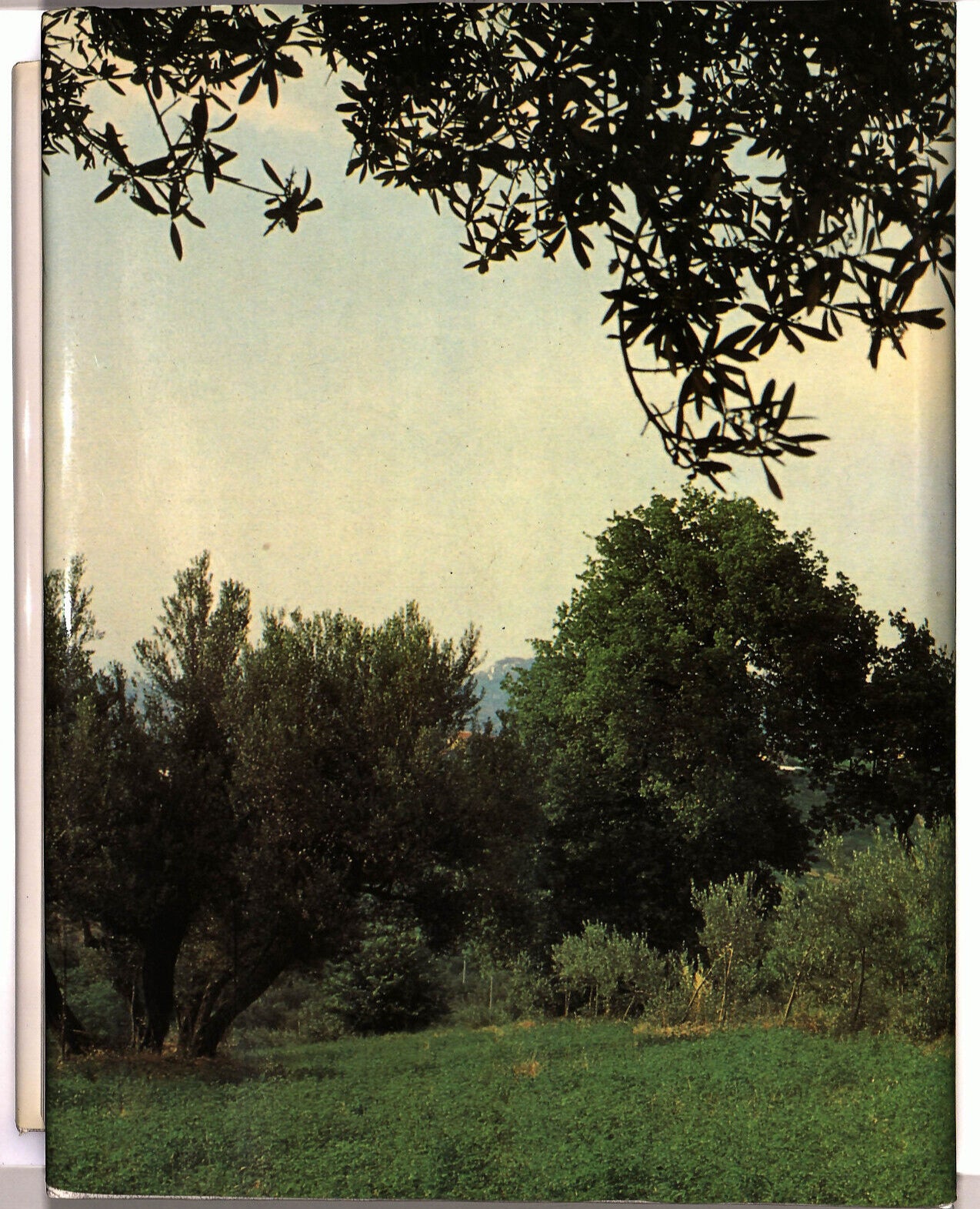 EBOND Camillo De Lellis Un Messaggio Di Misericordia Libro LI033410