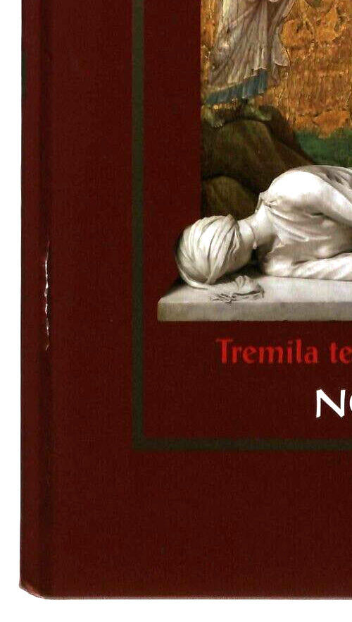 EBOND I Santi Nella Storia Tremila Testimoni Del Vangelo Novembre Libro LI035589