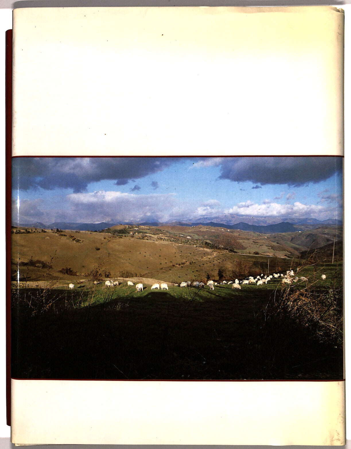 EBOND Francesco Poverello Di Dio Di Dante Alimenti Libro LI035876