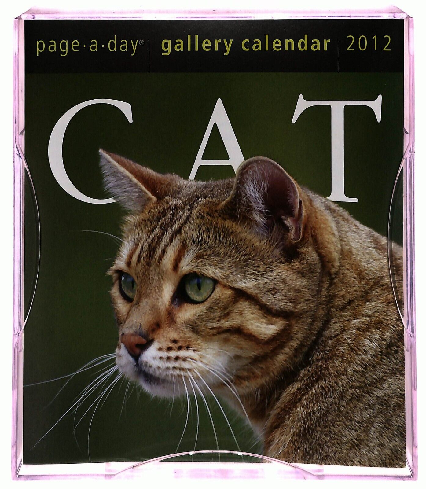 EBOND Cat Gallery Calendar 2012 Page a Day Workman Publishing Libro LI036176