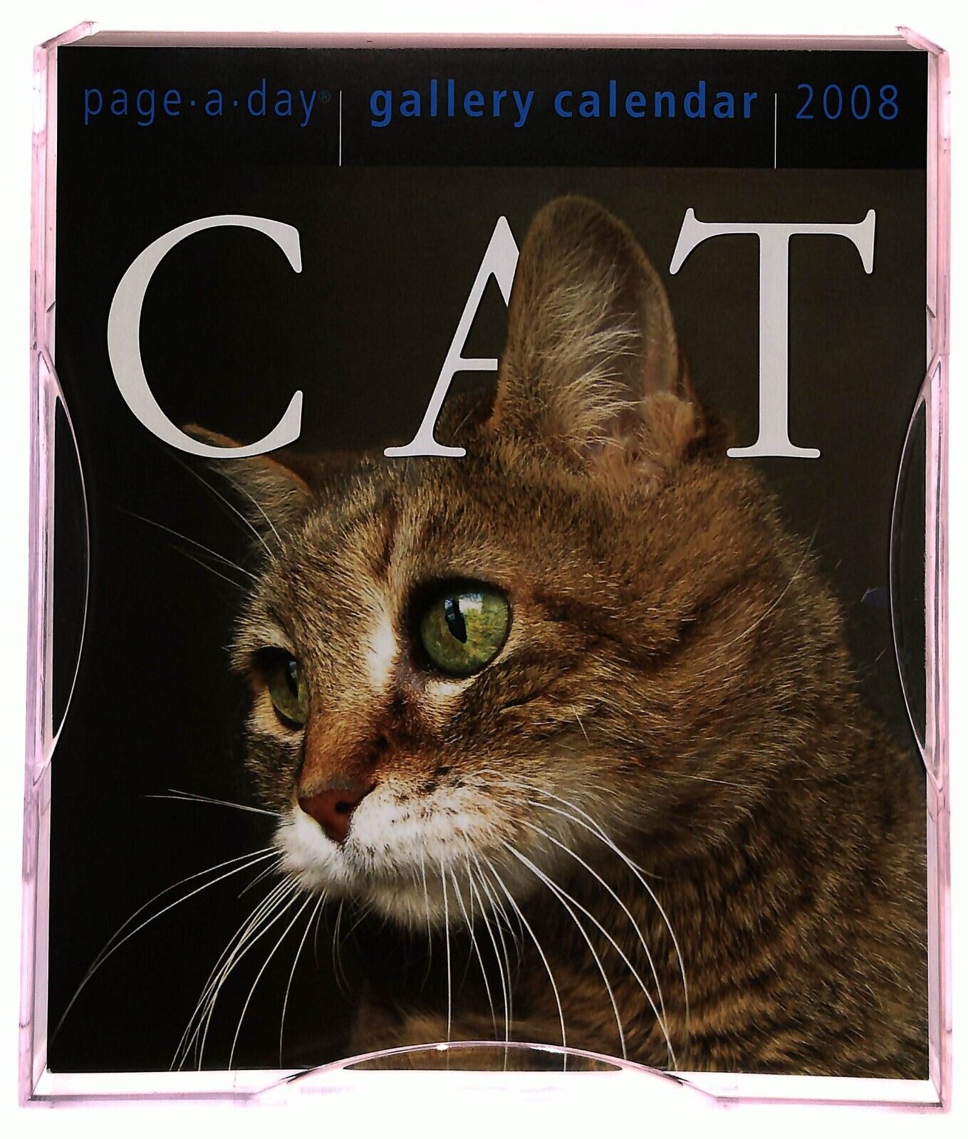 EBOND Cat Gallery Calendar 2008 Page a Day Libro LI036177