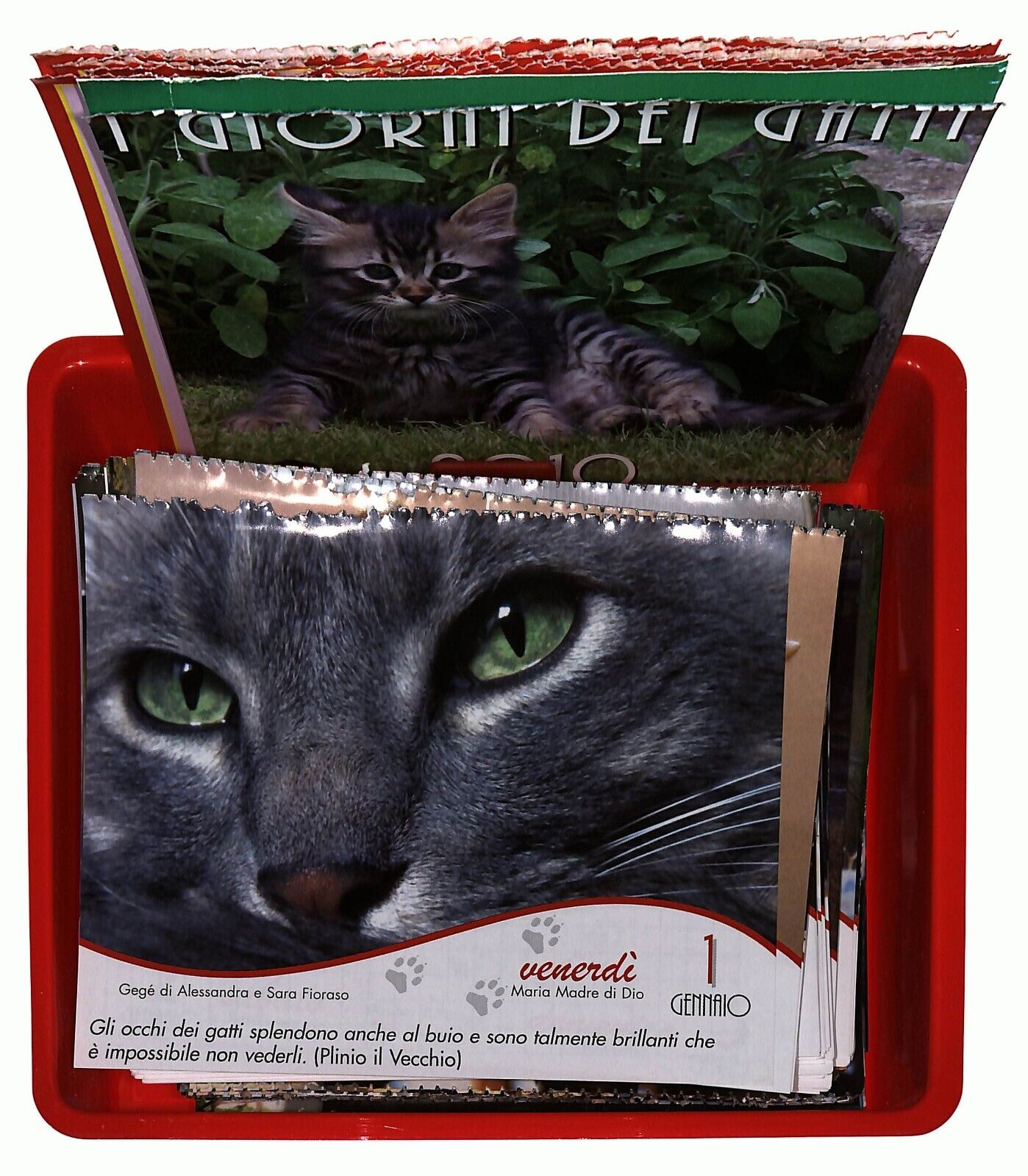 EBOND i Giorni Dei Gatti 2010 Mursia Libro LI036180