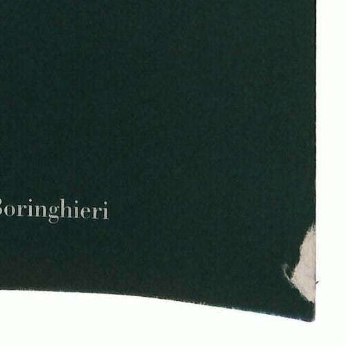 EBOND La Megamacchina Serge Latouche Bollati Boringhieri 2000 Libro LI036211