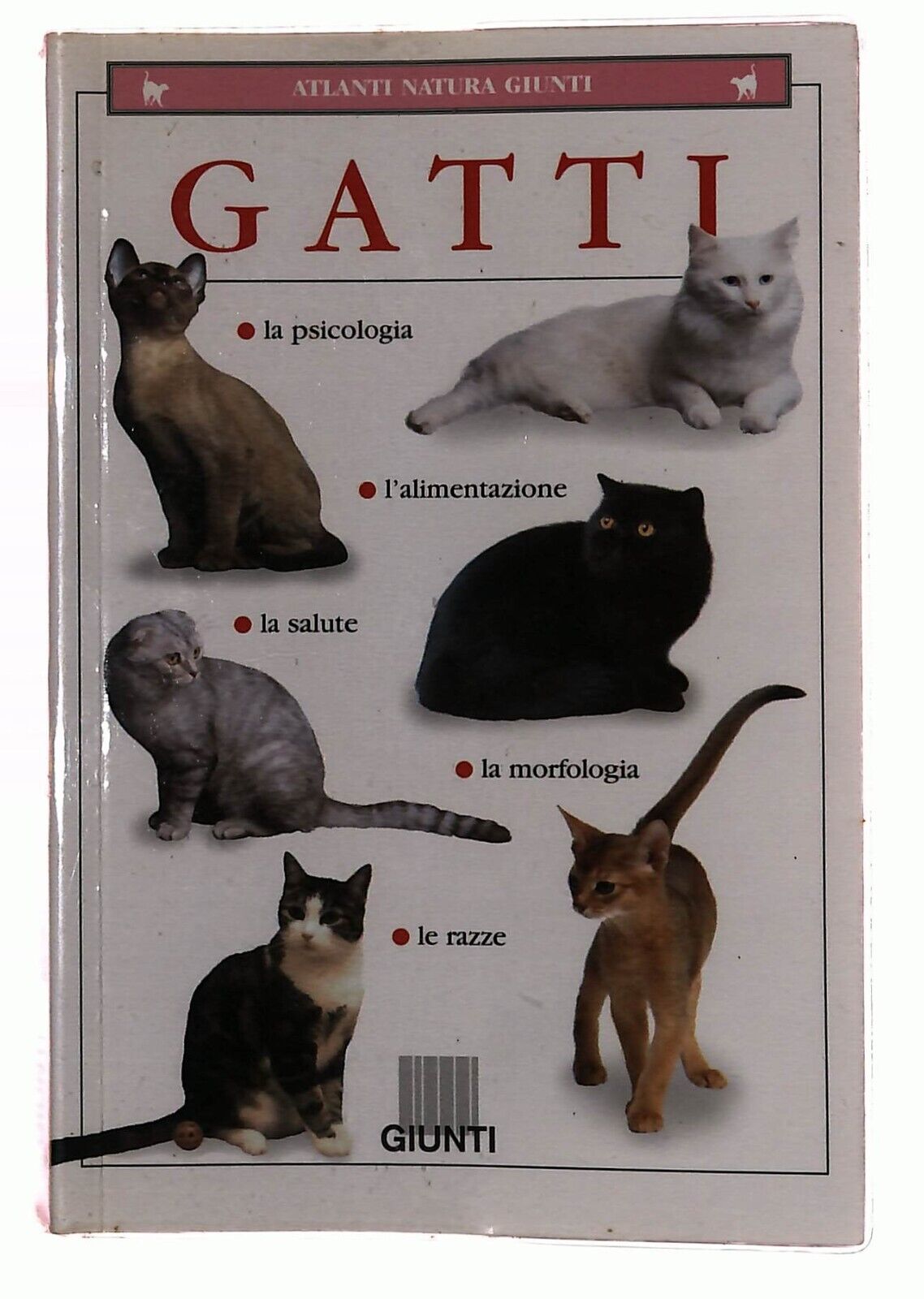 EBOND Gatti Atlanti Natura Giunti 2000 Libro LI036770