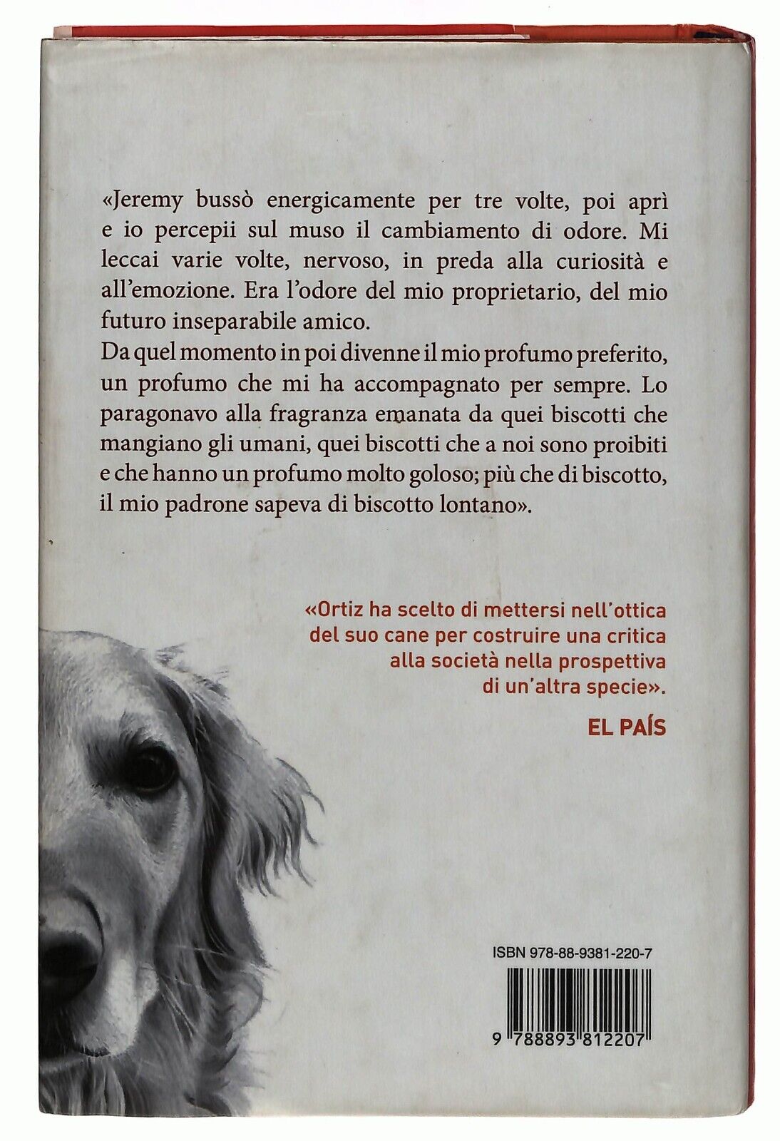 EBOND Attraverso i Miei Piccoli Occhi Emilio Ortiz Salani 2017 Libro LI036884