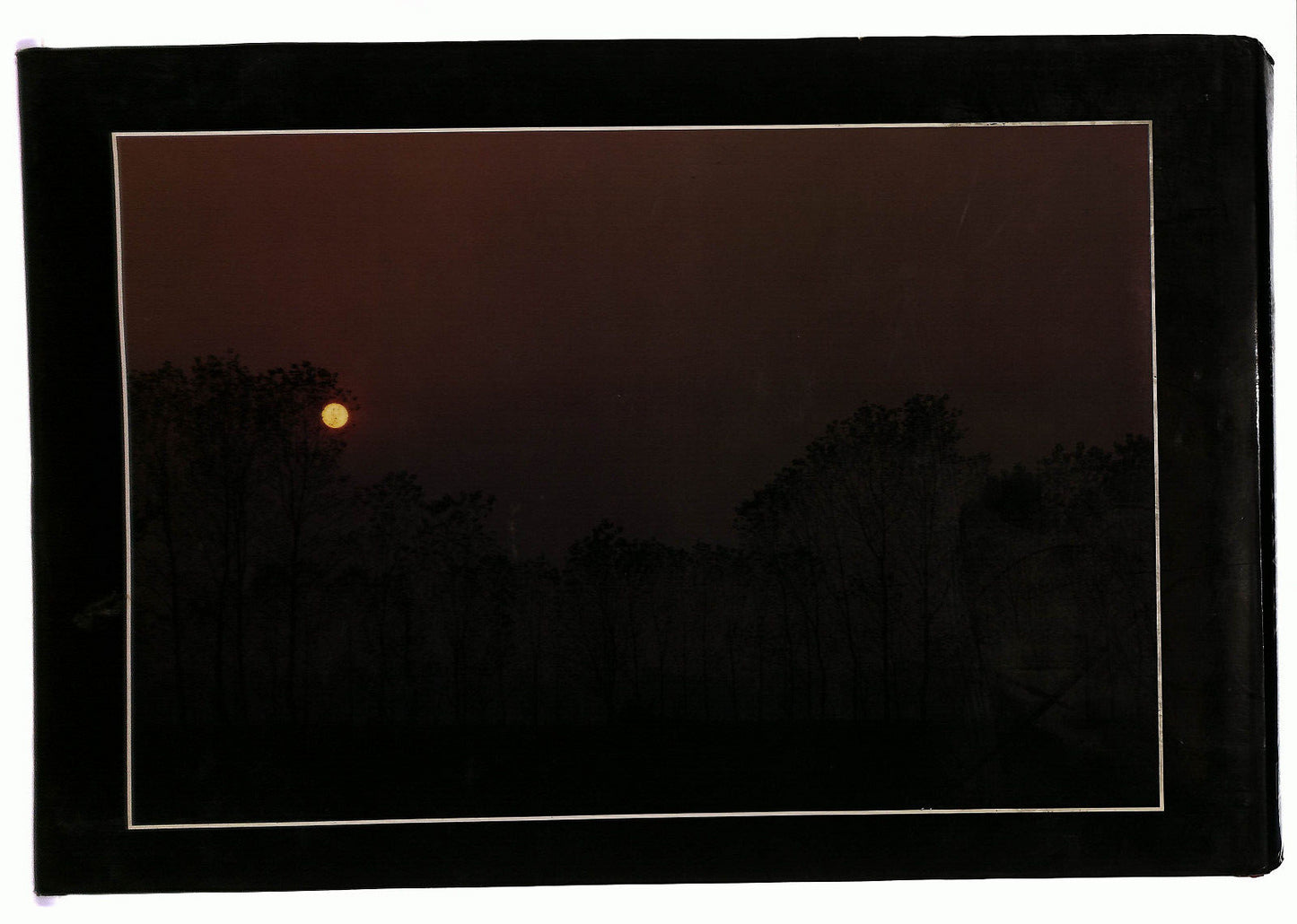 EBOND Pavia Luigi Reverdito Editore Angela Prati Libro LI037353