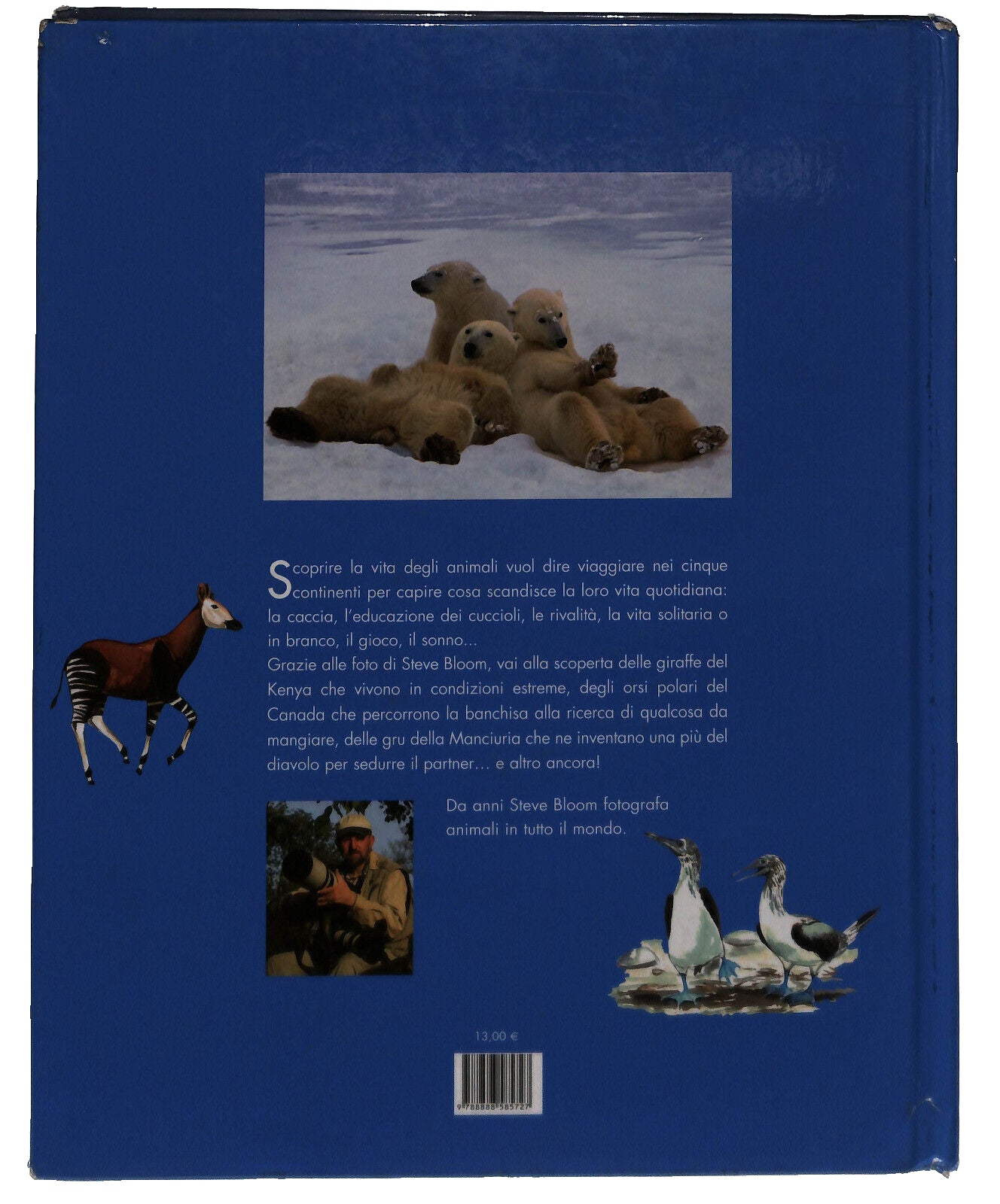 EBOND Gli Animali Selvaggi Steve Bloom L'ippocampo Junior Libro LI037408