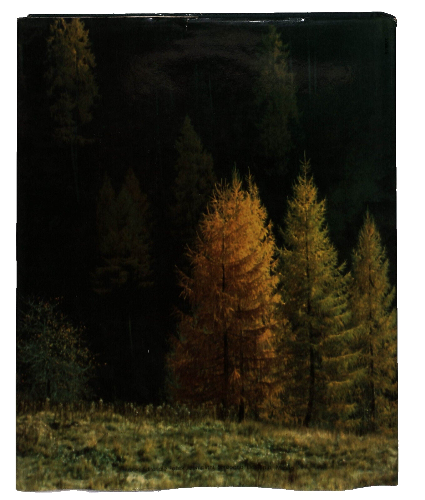 EBOND La Nuova Italia Dei Parchi Nazionali Fabbri EditoreLi037403 Libro LI037411