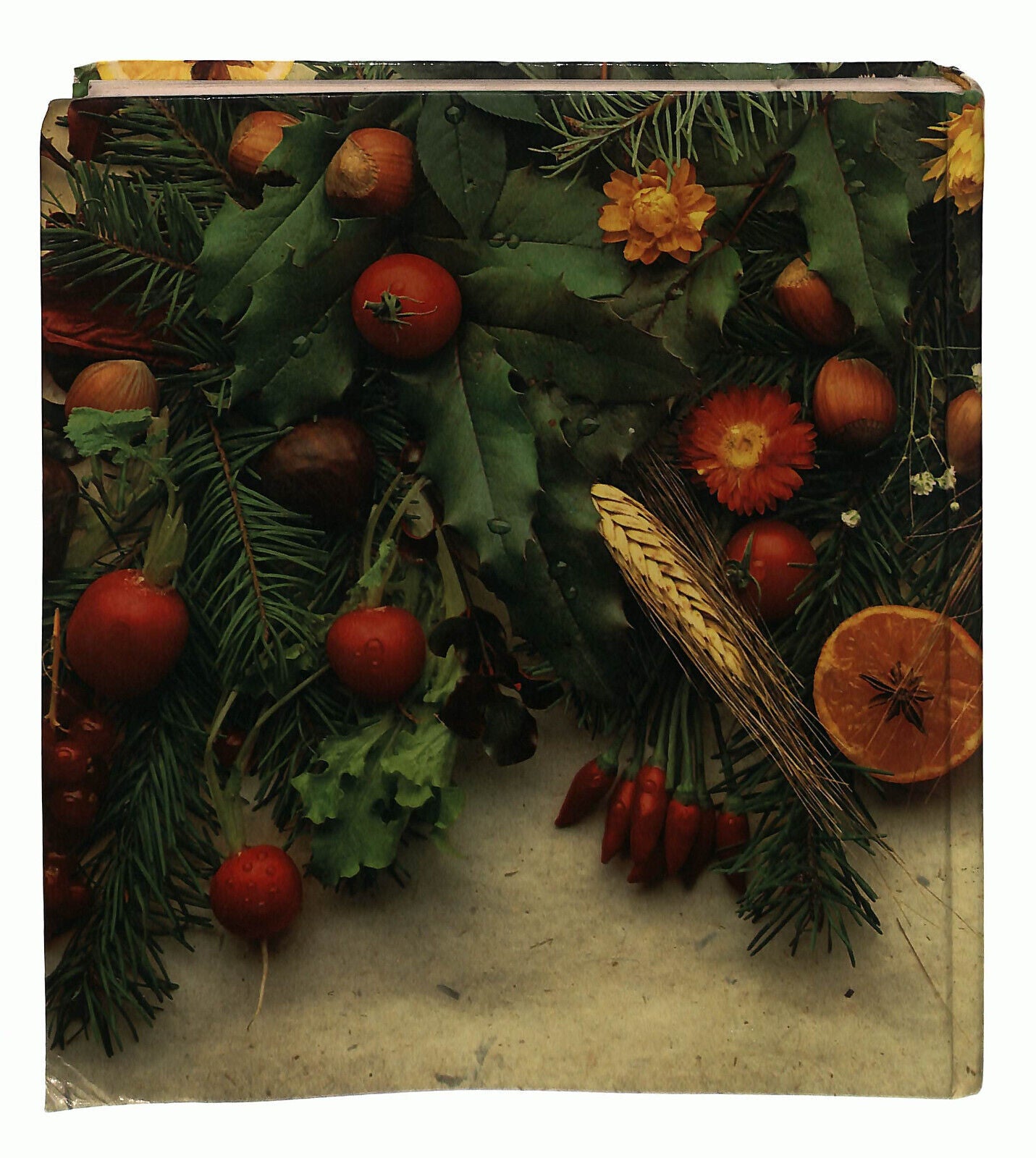 EBOND Casa Serena 1996 Libro LI037888