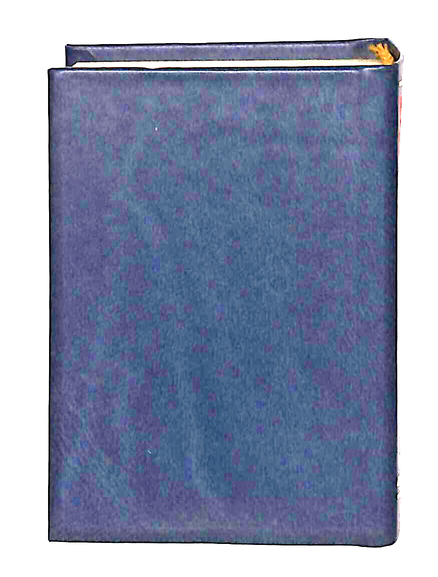 EBOND Mini Biblioteca Peruzzo La Lettera Scarlatta Libro LI038515