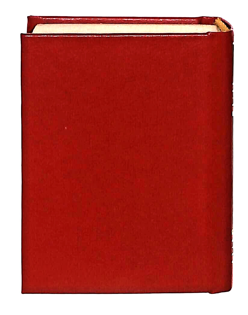 EBOND Mini Biblioteca Peruzzo Il Diavolo In Corpo Libro LI038516