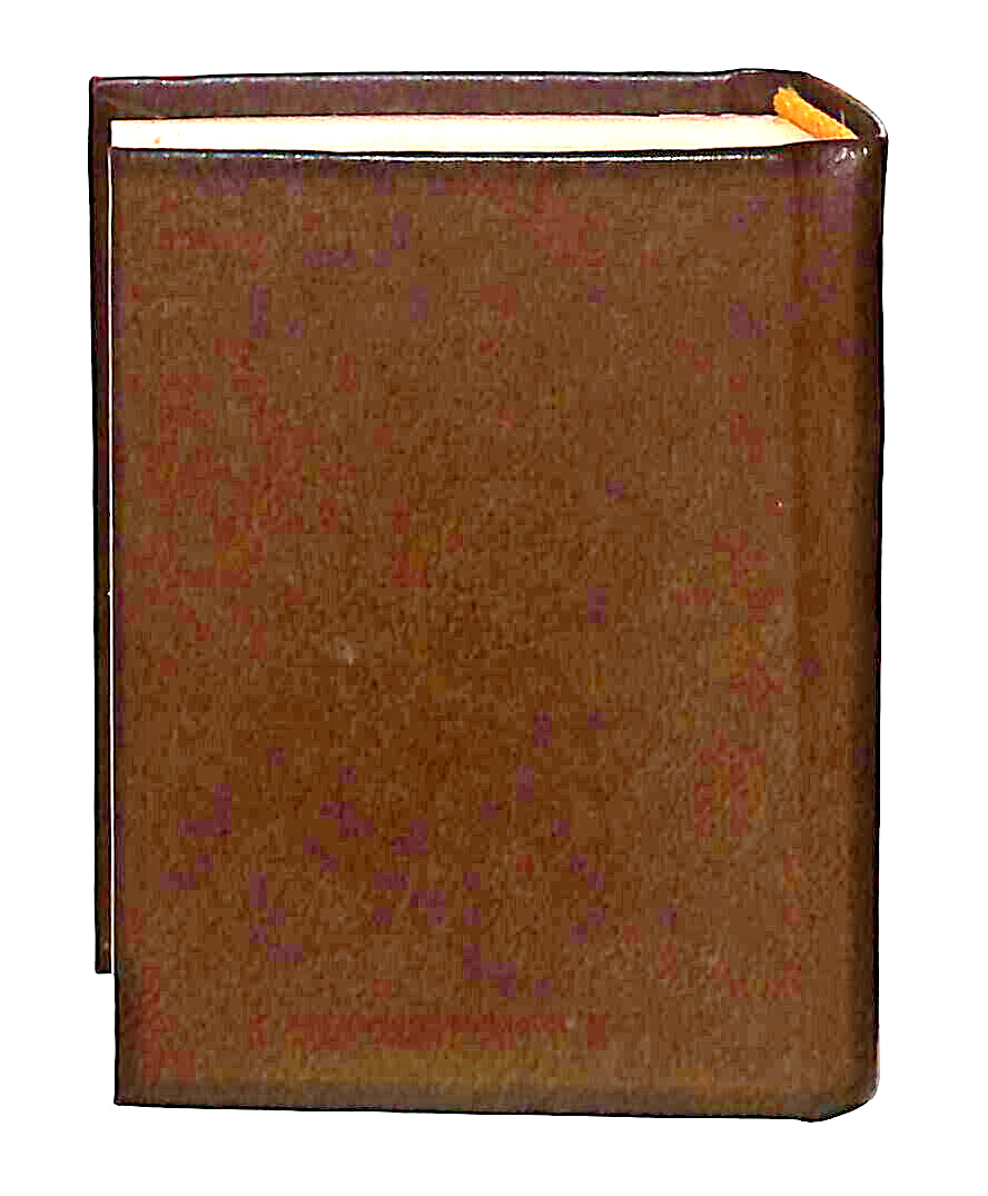 EBOND Mini Biblioteca Peruzzo I Viaggi Di Gulliver Libro LI038517