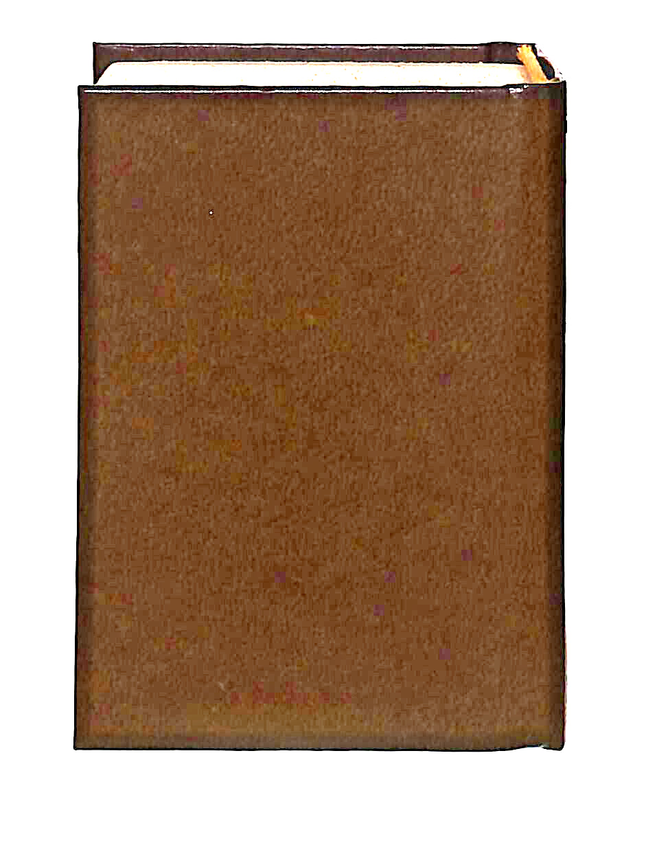 EBOND Mini Biblioteca Peruzzo Le Avventure Di Huckleberry Finn Libro LI038518