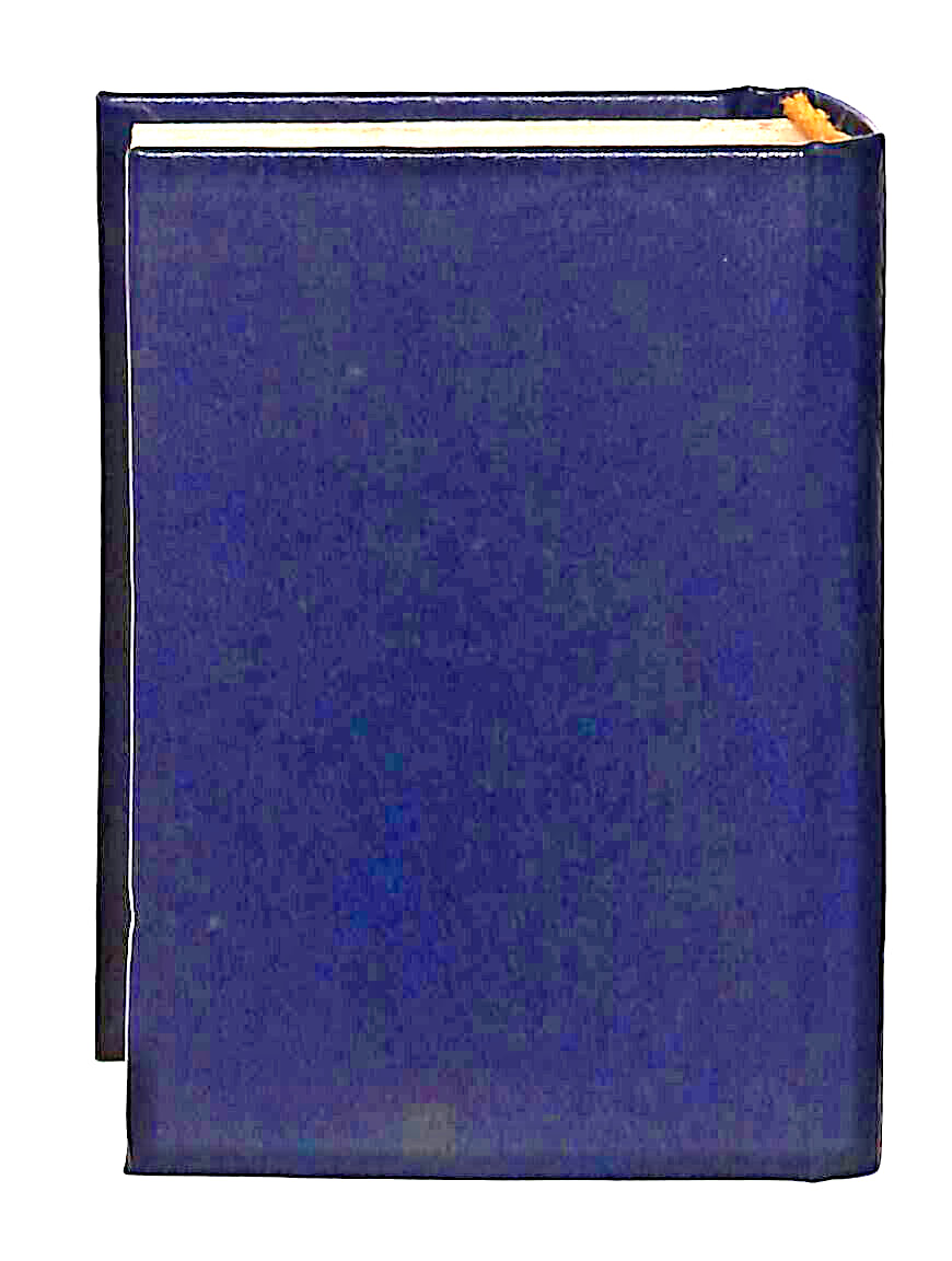 EBOND Mini Biblioteca Peruzzo Viaggio Al Centro Della Terra Libro LI038537