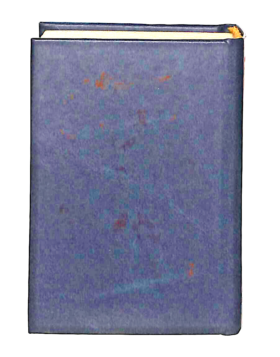 EBOND Mini Biblioteca Peruzzo I Malavoglia Libro LI038565