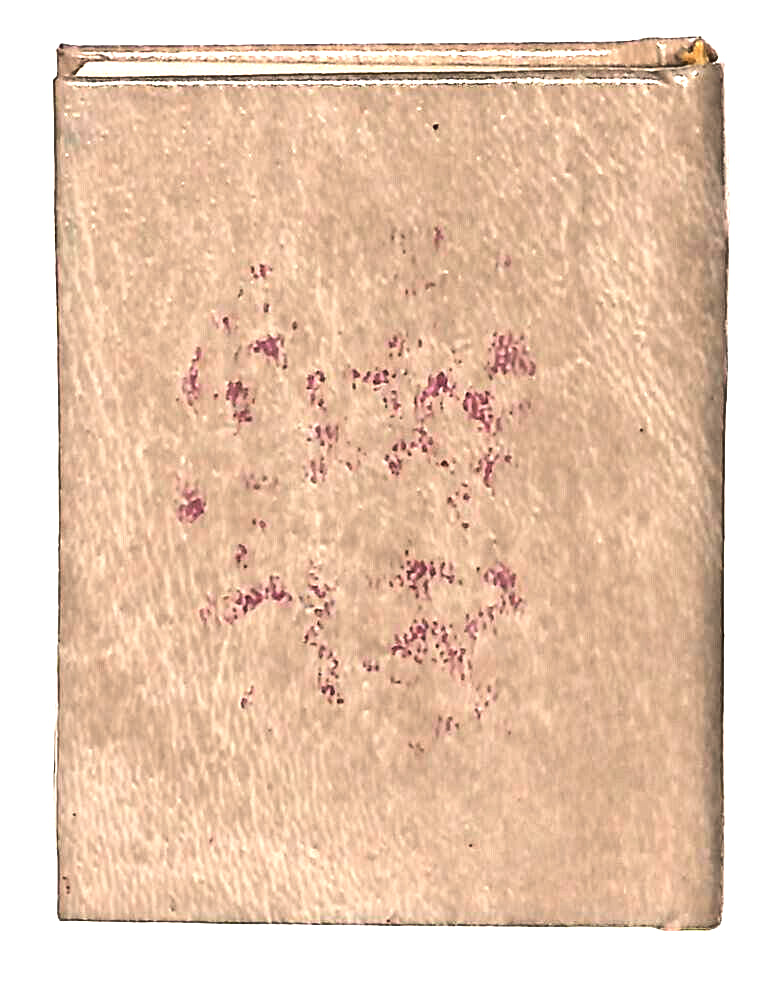 EBOND Mini Biblioteca Peruzzo La Monaca Libro LI038570