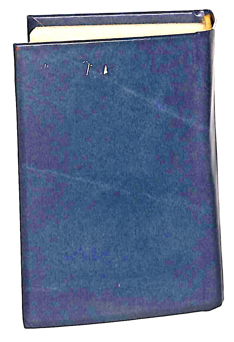 EBOND Mini Biblioteca Peruzzo L'educazione Sentimentale Libro LI038587