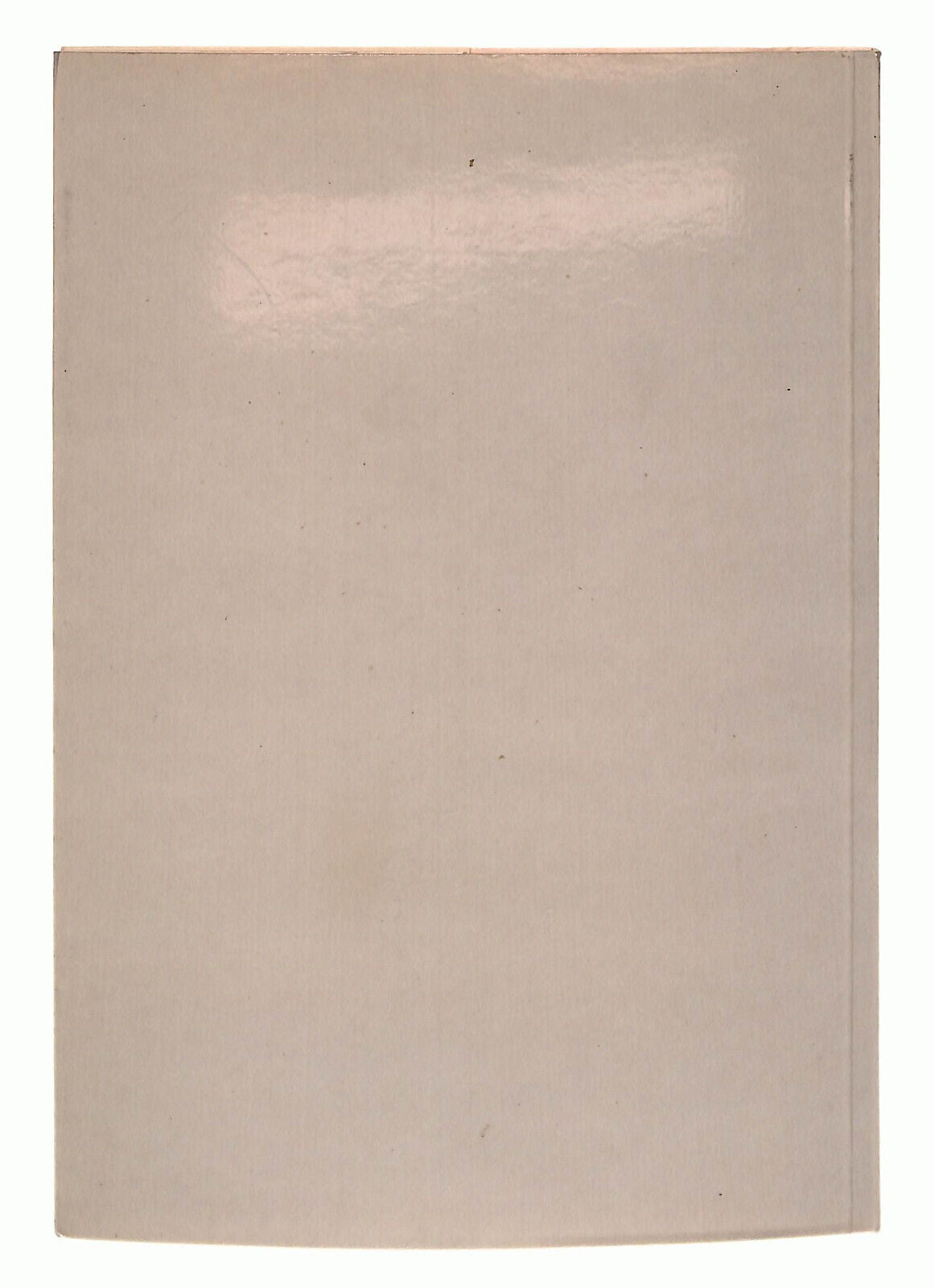 EBOND Costanza Cerioli Ha Scelto i Poveri Casa Madre Libro LI039051