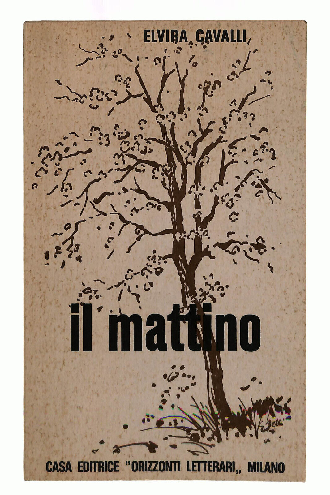 EBOND Il Mattino Elvira Cavalli Orizzonti Letterari Libro LI039071