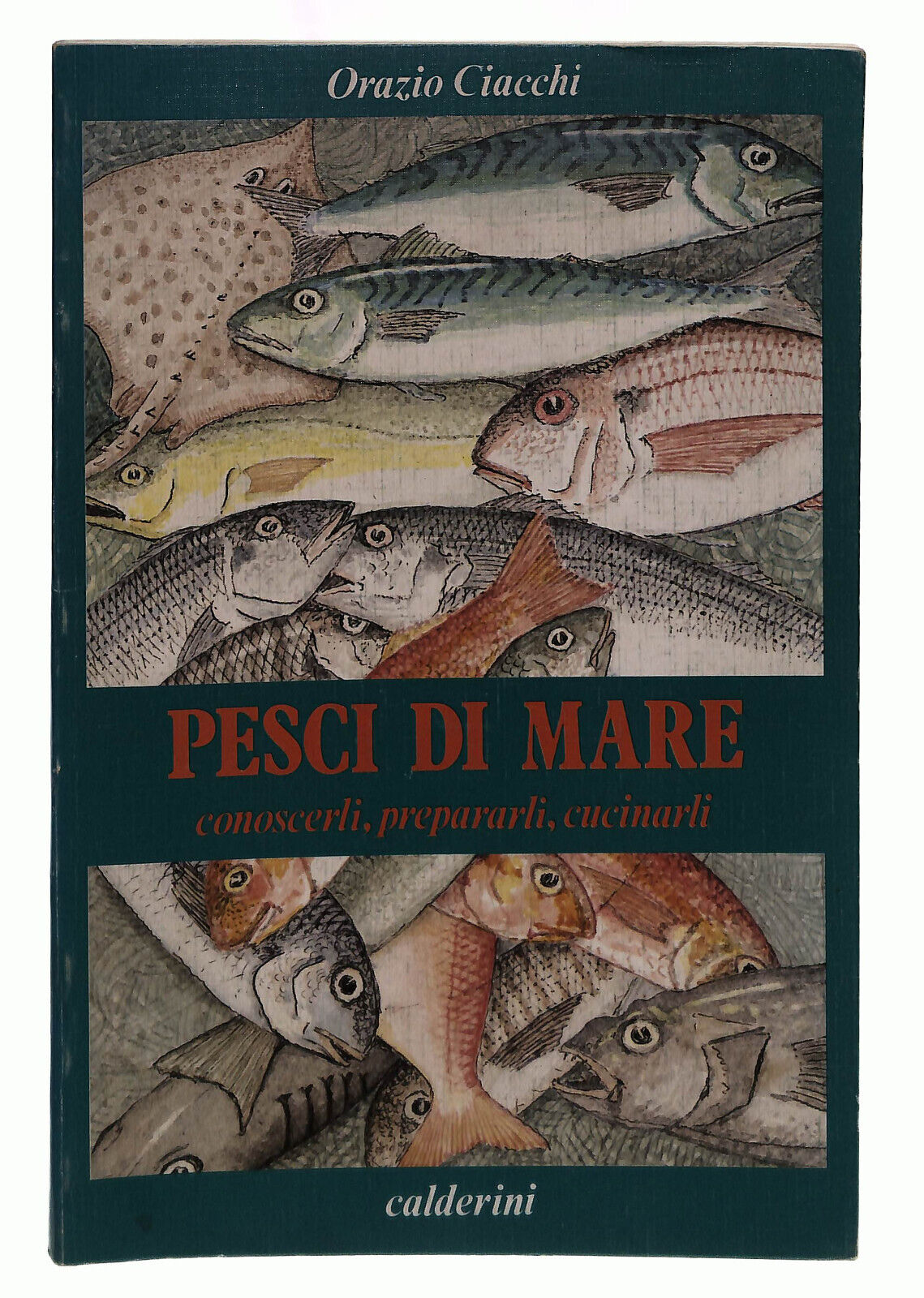 EBOND Pesci Di Mare Ciacchi Calderini Libro LI039076