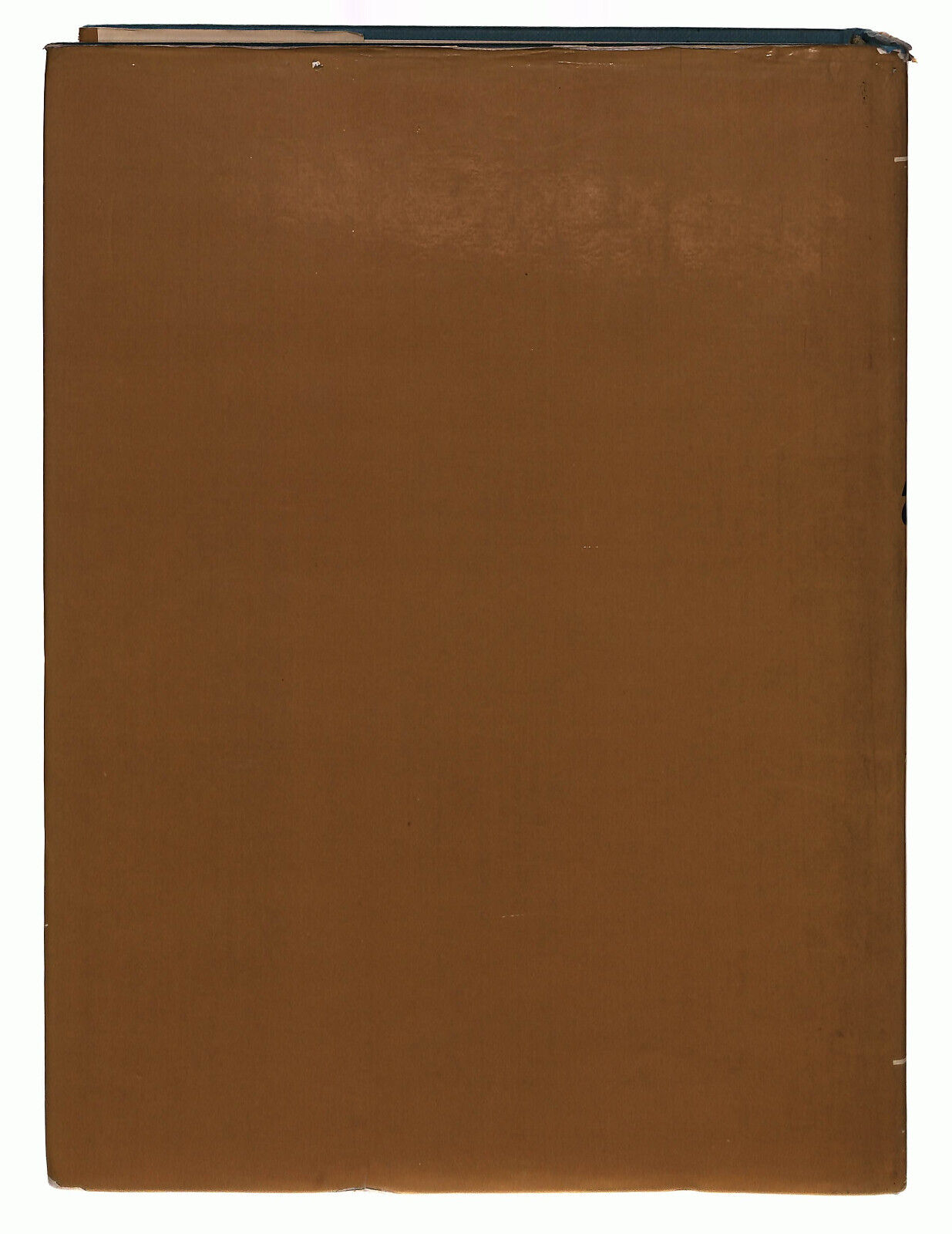 EBOND Andare a Caccia Volume 4 Rizzoli Libro LI039109