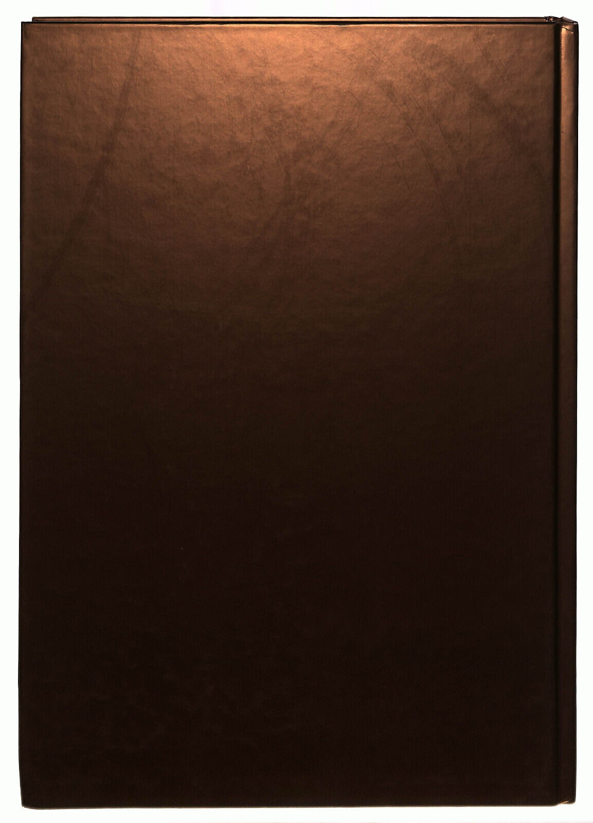 EBOND Arata Argentieri Beltrami e Martini Pittori Lombardi Libro LI039480