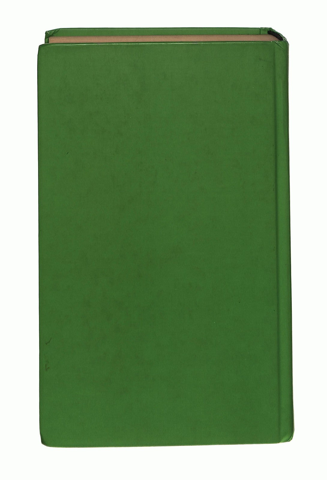 EBOND Molly Moon Ferma Il Mondo Georgia Byng Fabbri Libro LI040234