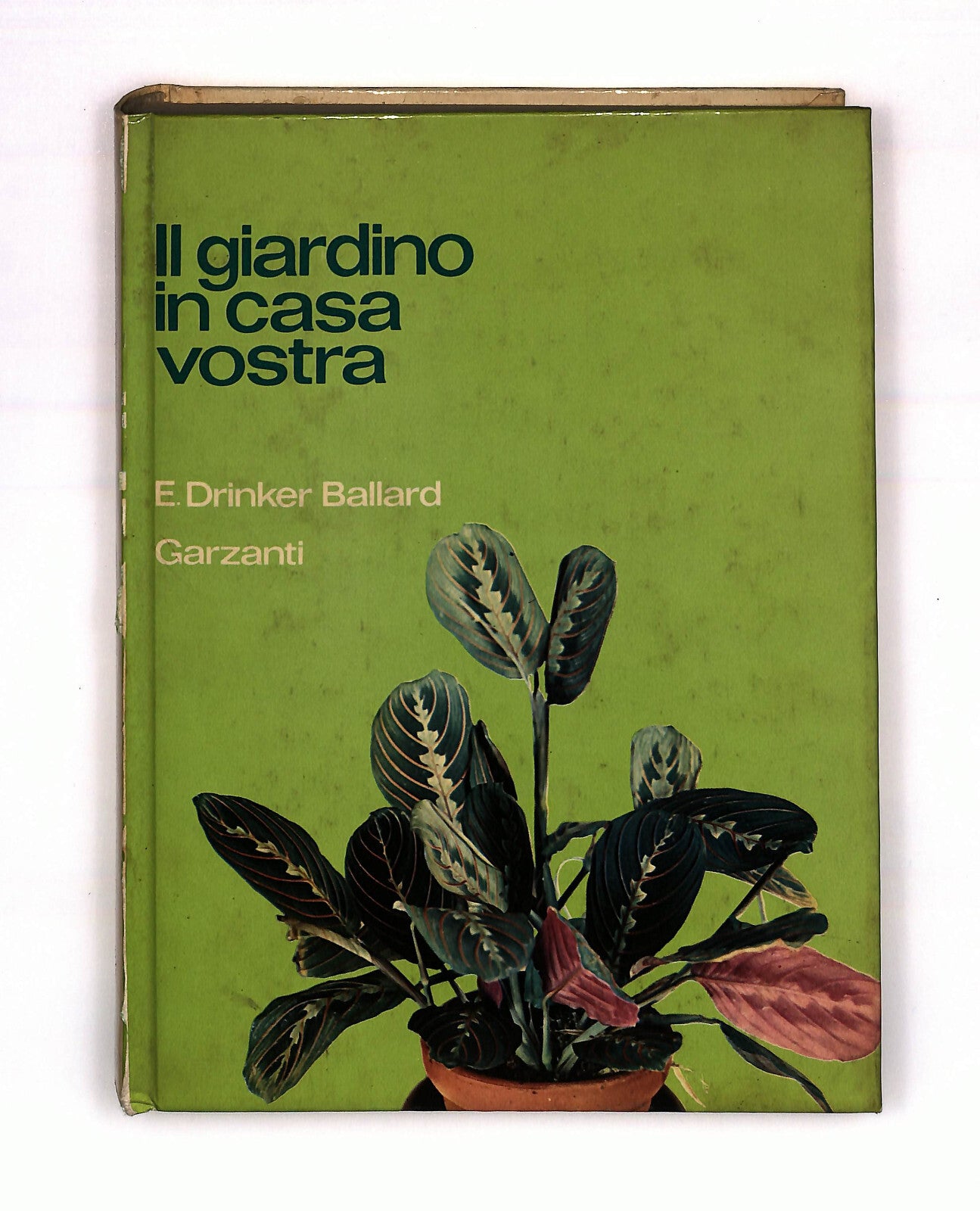 EBOND Il Giardino In Casa Vostra Ernesta Drinker Ballard Garzanti Libro LI040779
