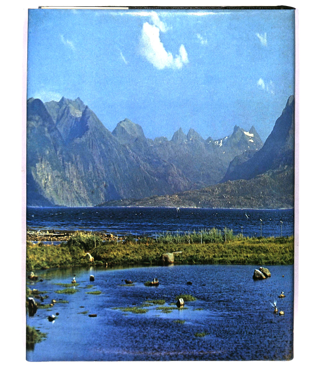 EBOND Questa Meravigliosa Europa Reader's Digest Libro LI040971