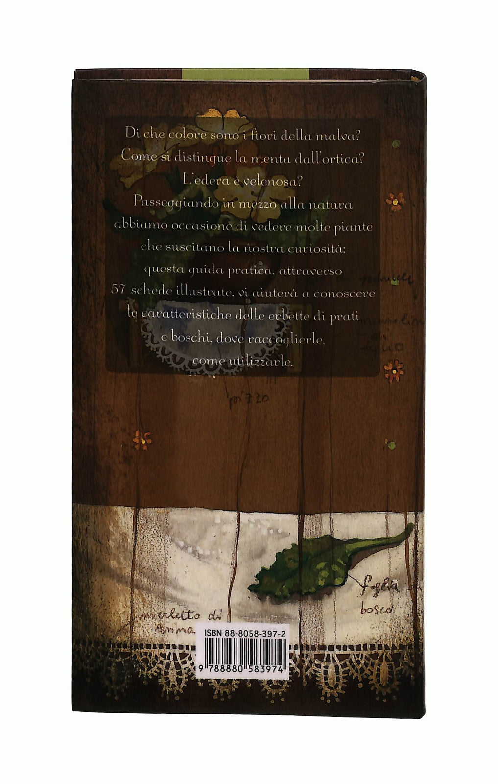 EBOND Erbette Di Prati e Boschi Monia Marin Gribaudo Libro LI041156