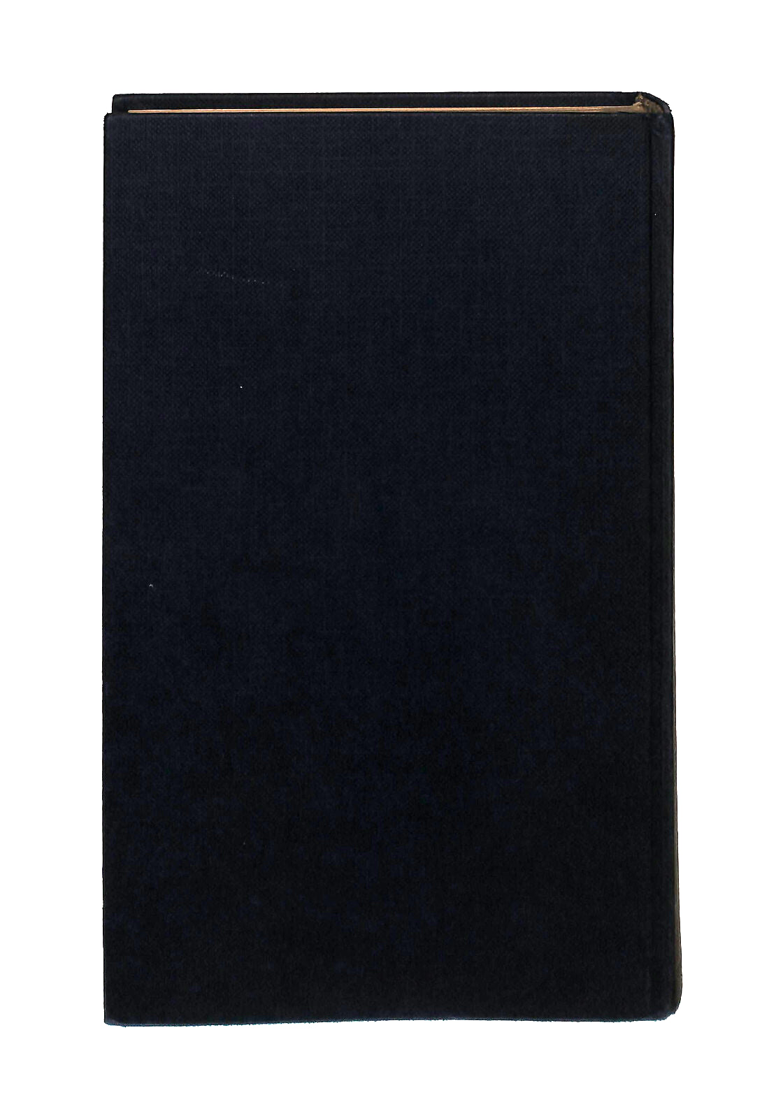 EBOND Tu Vipera Gentile Maria Belloncie Libro LI041537