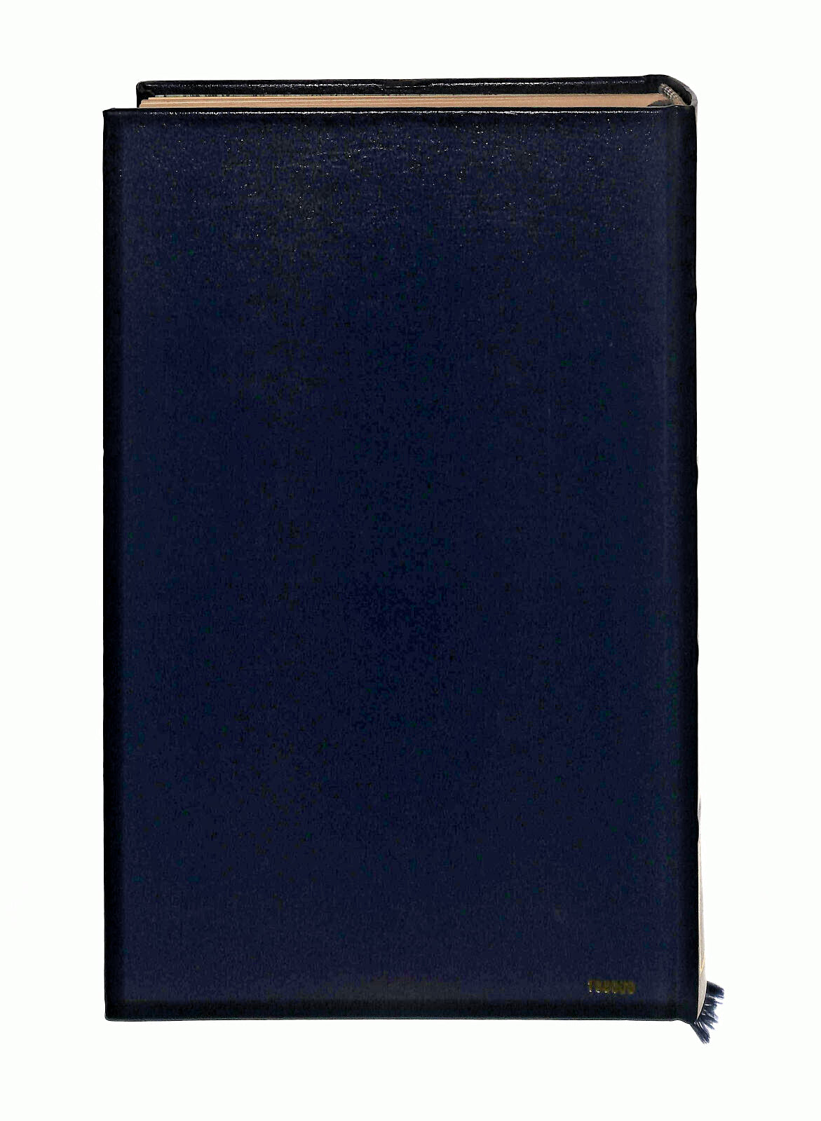 EBOND Saghe Del Tempo Anticoe Libro LI041831