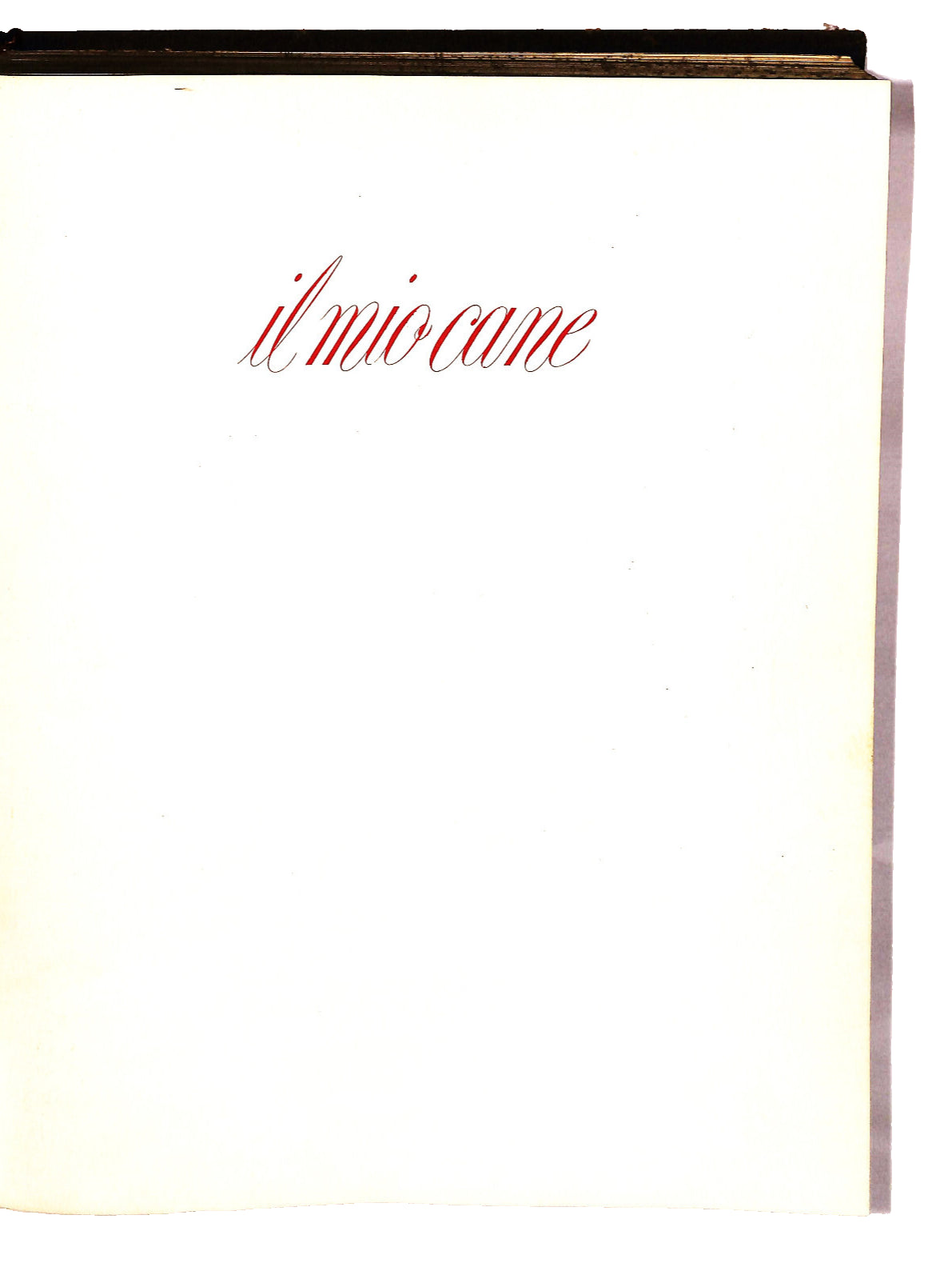 EBOND Il Mio Cane P A Pesce Curcio Libro LI042137