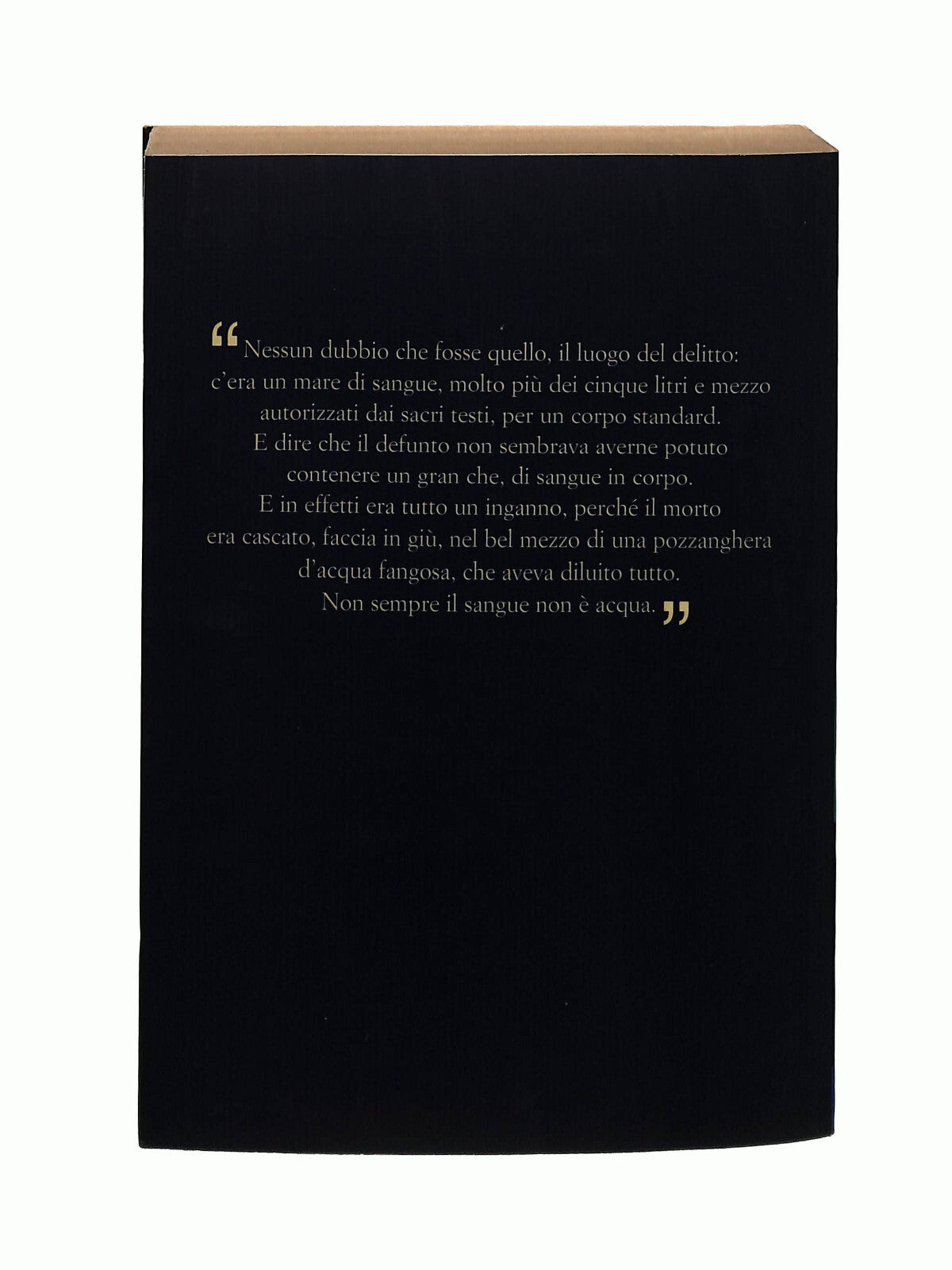 EBOND La Doppia Vita Di M Laurent S Piazzese Sellerio Panorama Libro LI042341