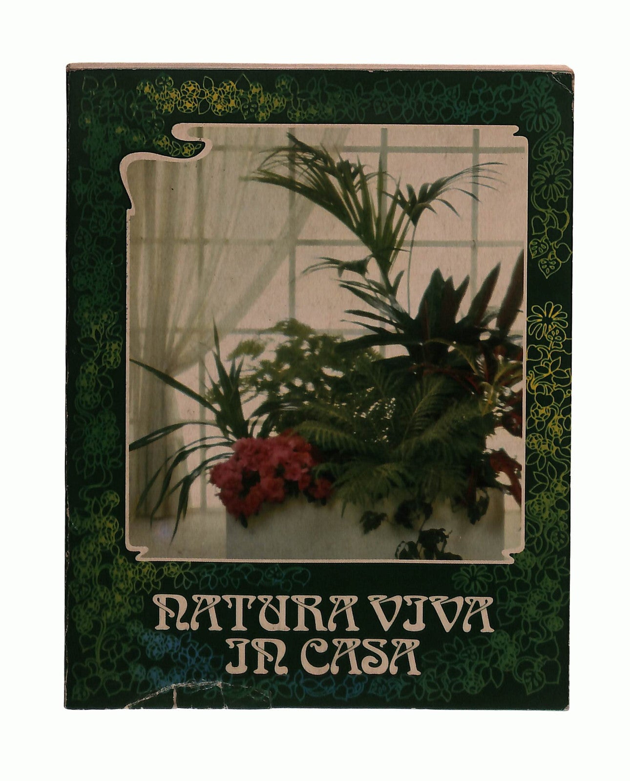 EBOND Natura Viva In Casa Ciba Geigy Libro LI042511