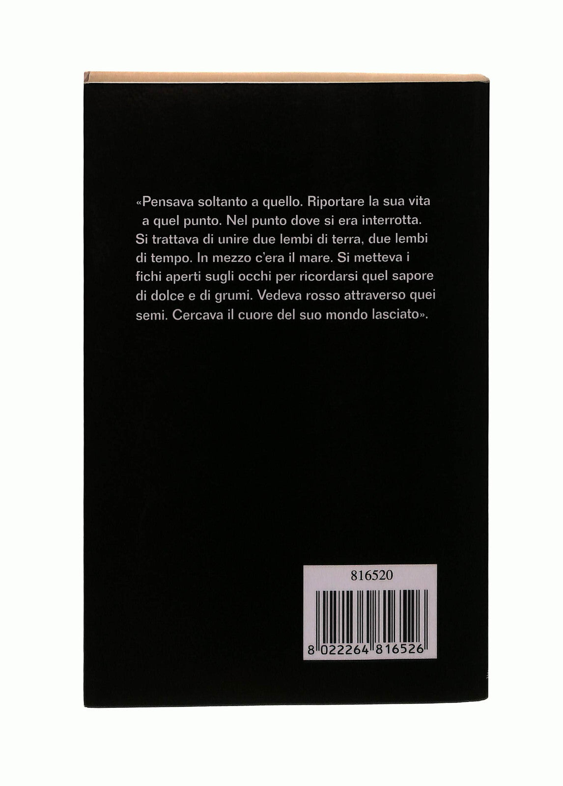 EBOND Mare Al Mattino Margaret Mazzantini Mondolibri Libro LI042581