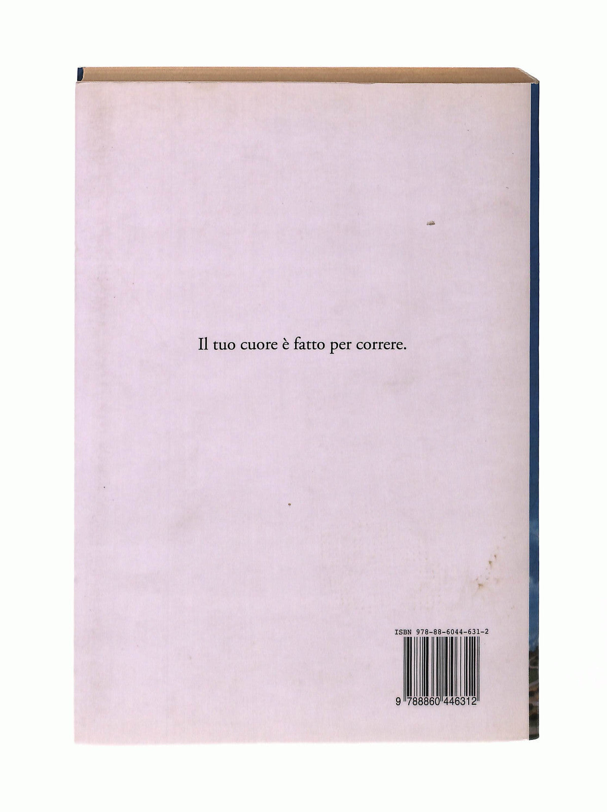 EBOND Il Volo Dell Airone Giancarlo Governi Fandango Libro LI042865