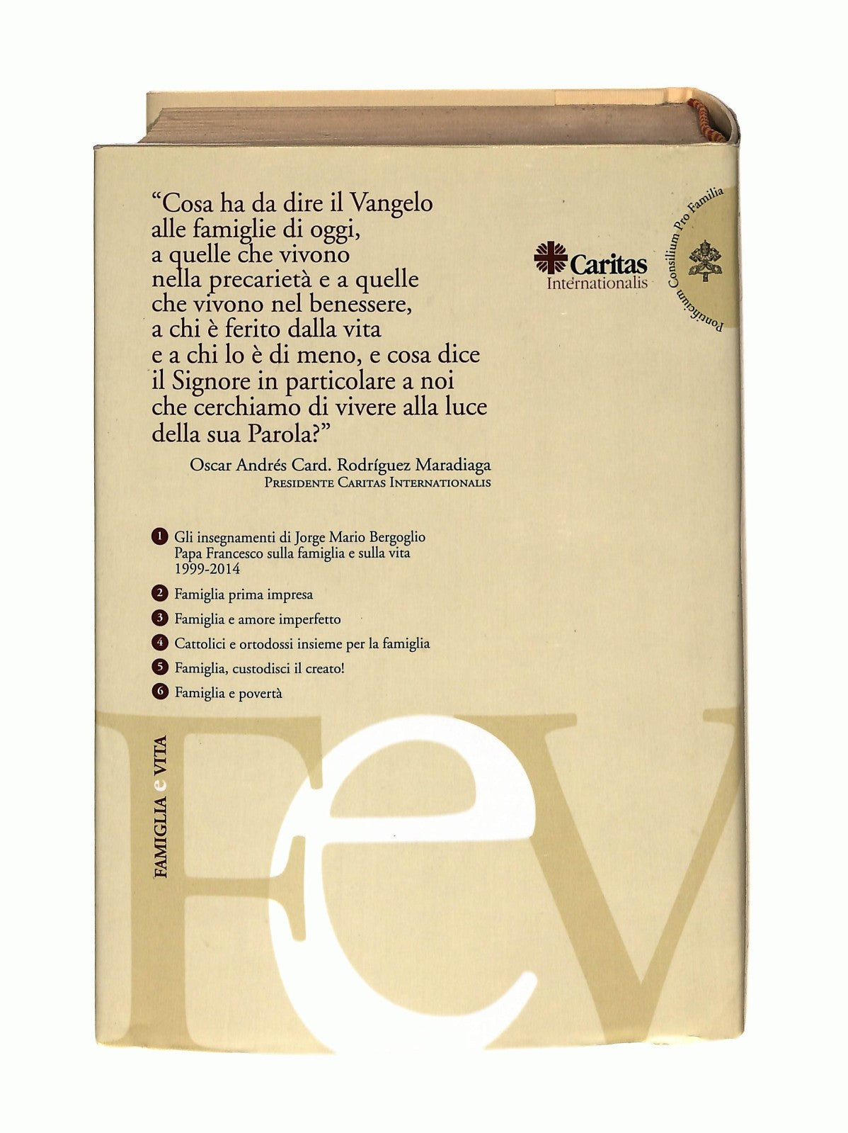 EBOND Famiglia e Poverta Pontificio Consiglio Per La Famiglia Libro LI043730