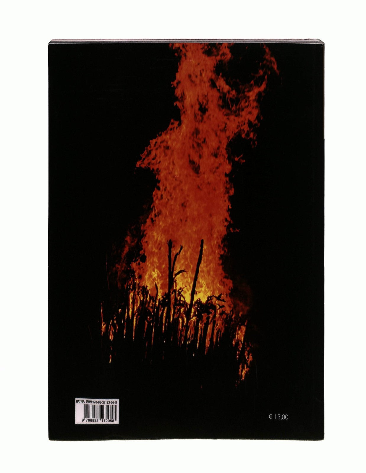 EBOND I Fuochi Rituali In Abruzzo Rasetti Con Firma Autore n 572 Libro LI043813