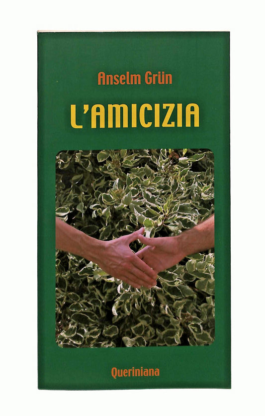 EBOND L Amicizia Anselm Grun Queriniana Libro LI044985