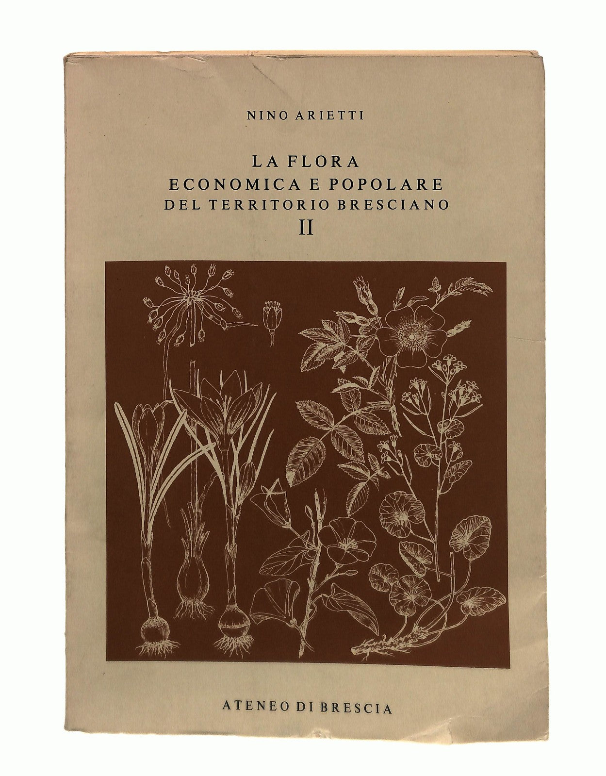 EBOND La Flora Economica e Popolare Del Territorio Bresciano Ii Libro LI045233