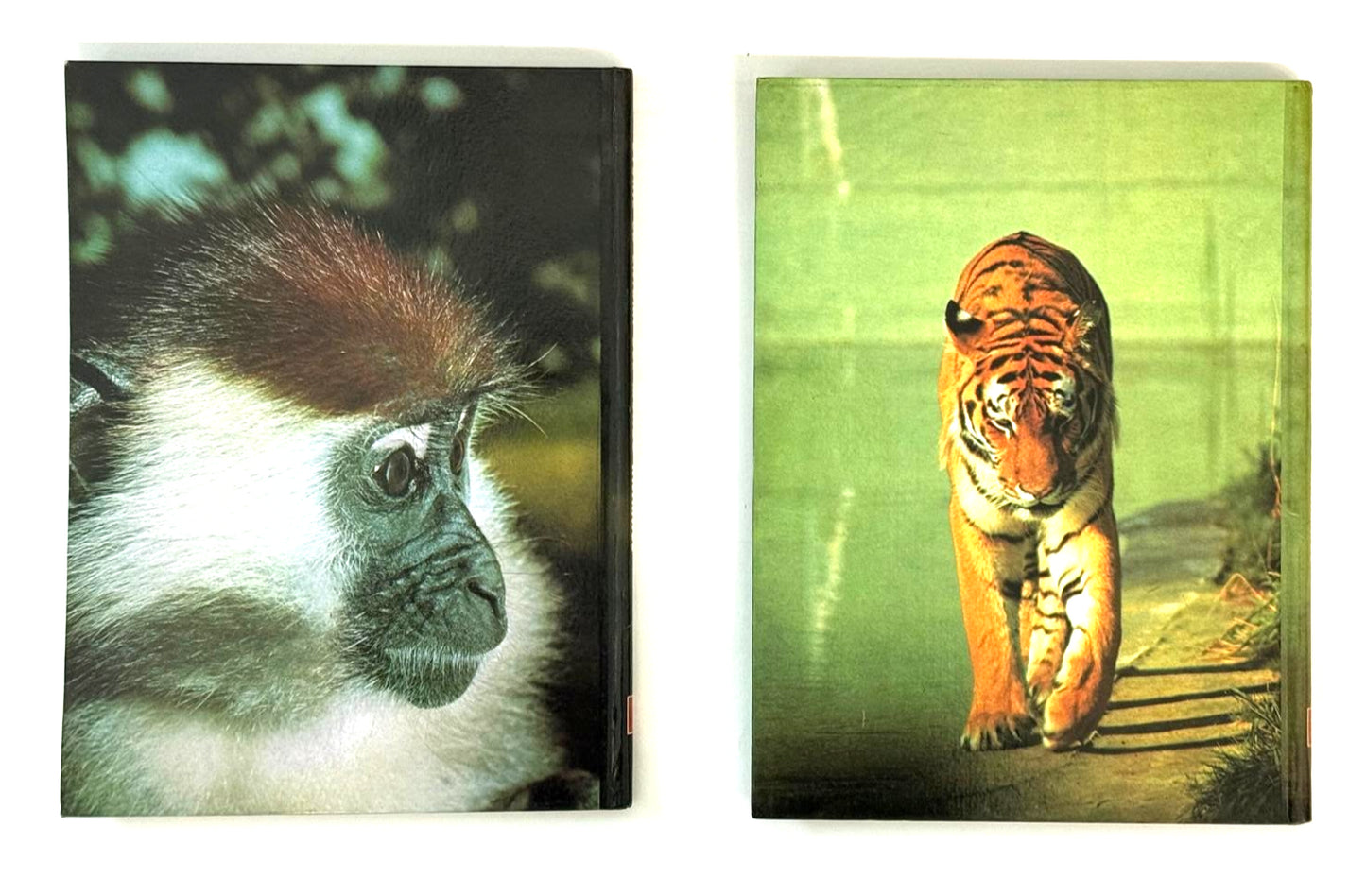 EBOND Storie Ed Enigmi Del Mondo Animale Volume 1 e 2 Libro LI045459
