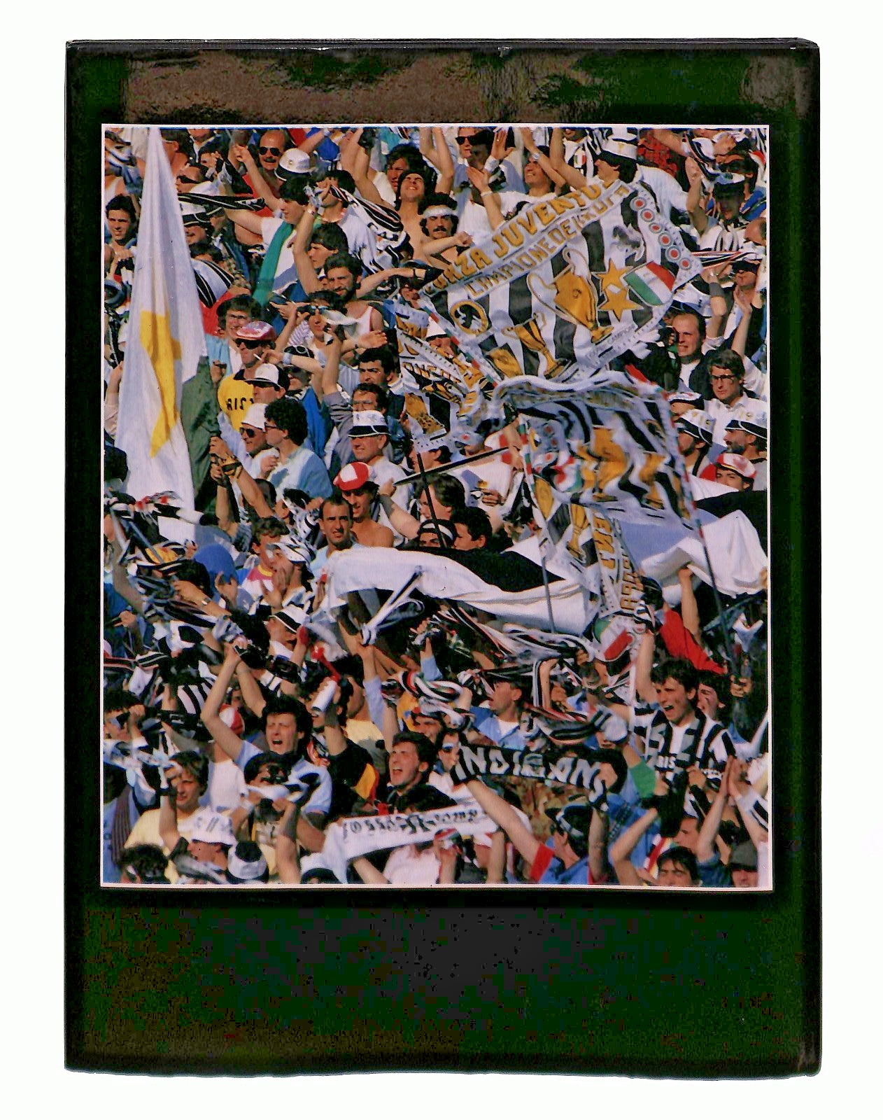 EBOND Juventissima Bruno Bernardi Forte Editore 1986 Libro LI047280