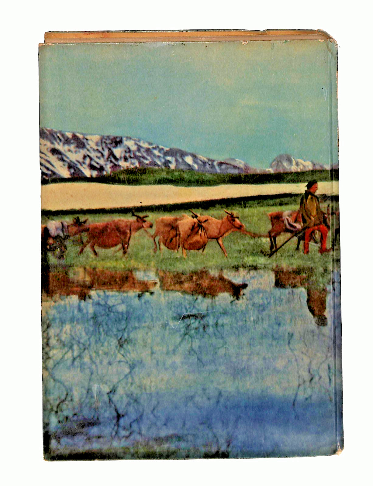 EBOND Tra Renne e Lapponi Elio D Aurora Sei 1955 Libro LI048455