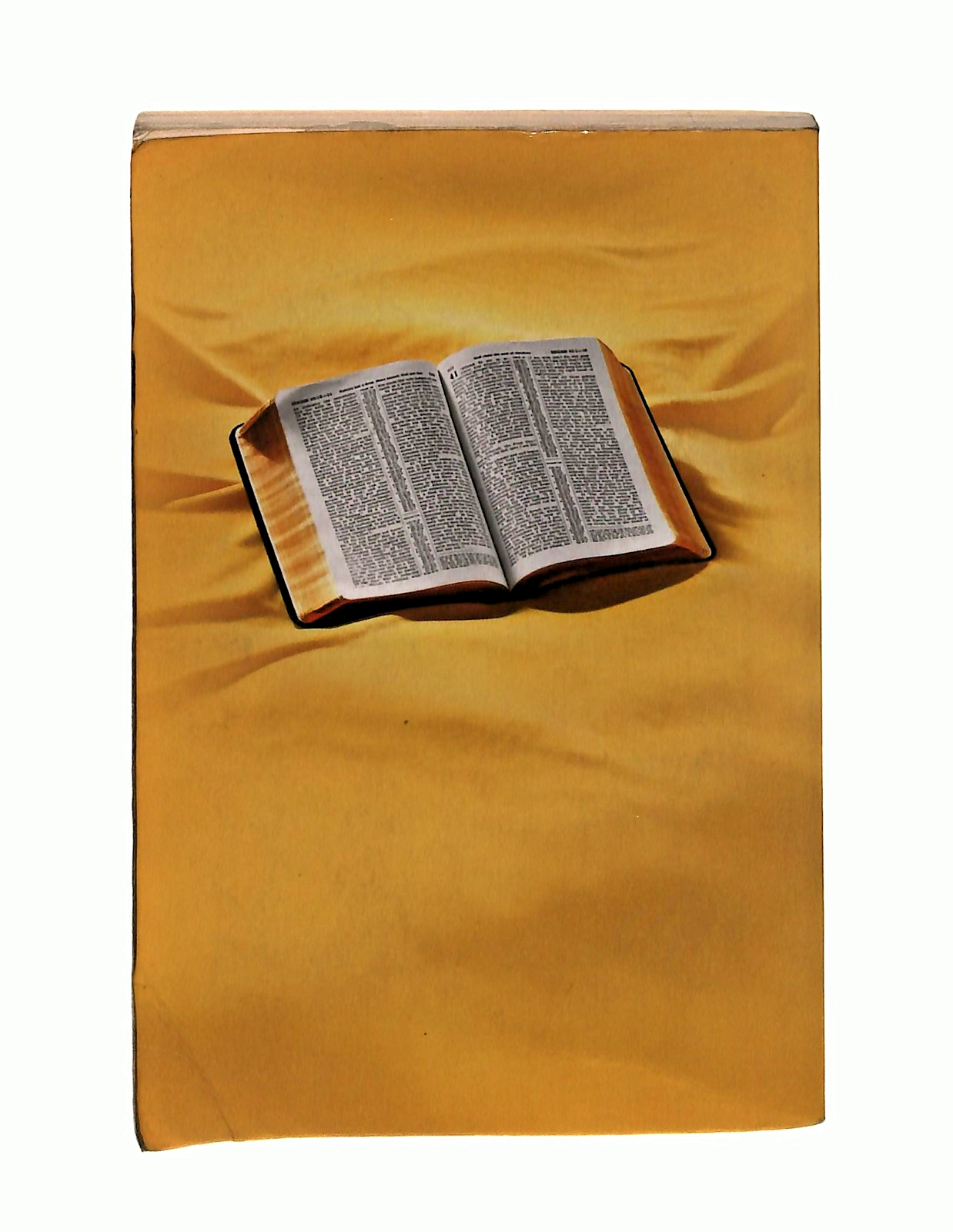 EBOND Cosa Insegna Realmente La Bibbia Watchtower 2006 Libretto Libro LI048882