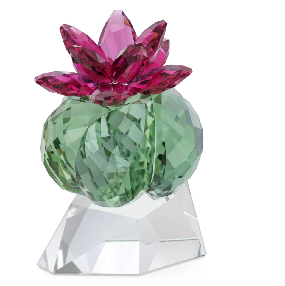Swarovski 5426978 Crystal Flowers Cactus Bordeaux