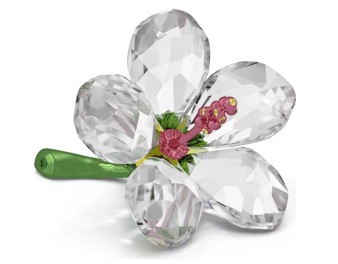 Swarovski 5690534 Florere Ibisco