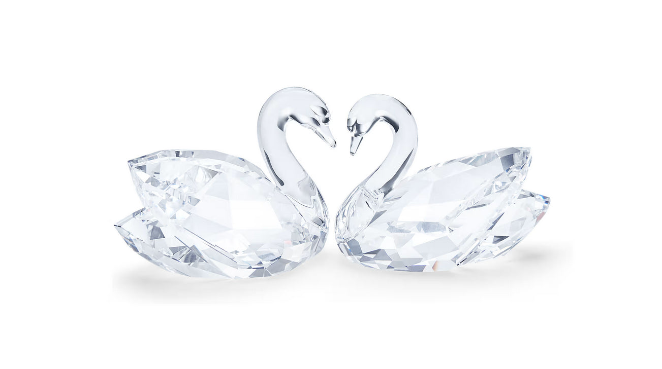 Swarovski 5728084 Coppia di Cigni
