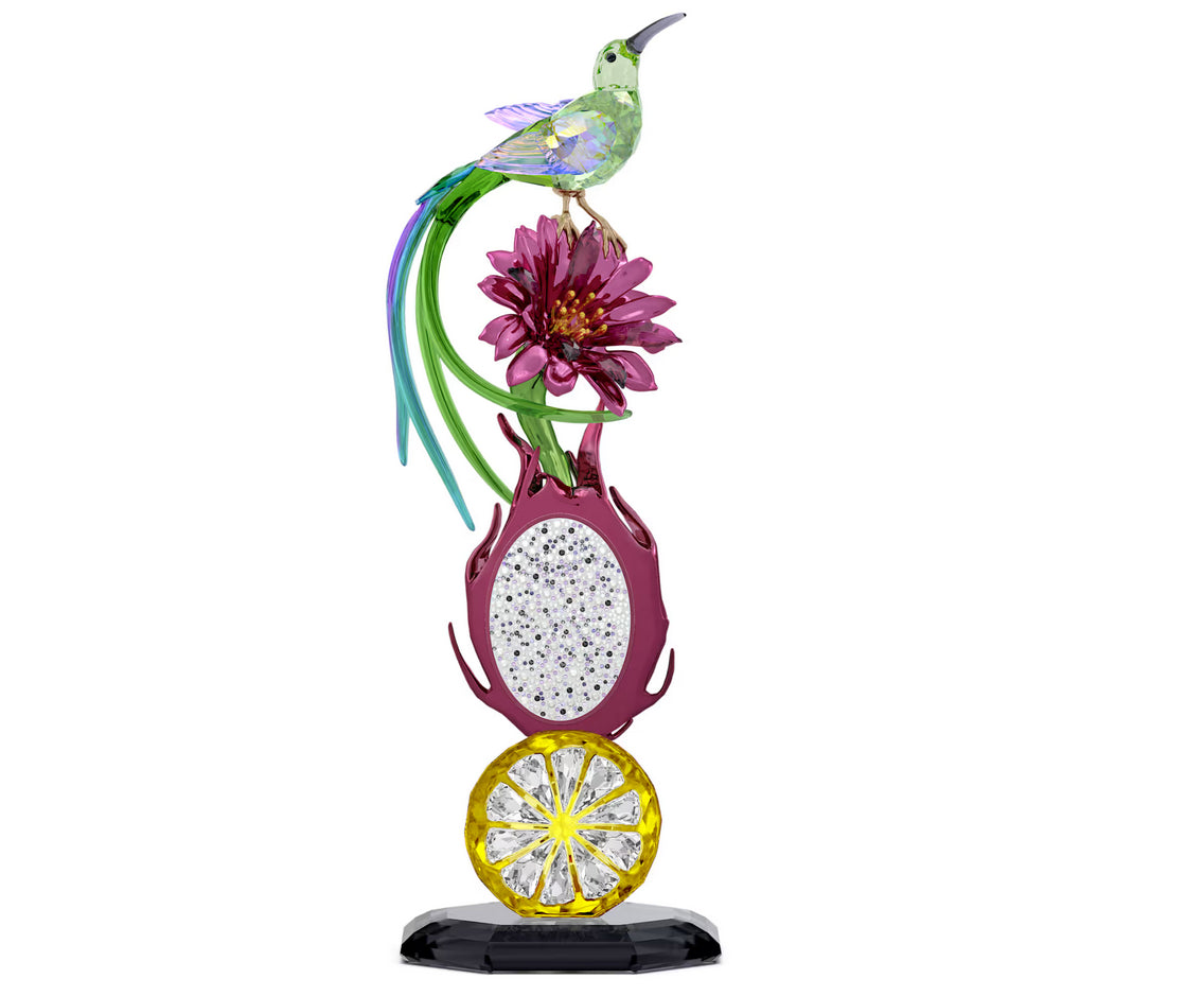 Swarovski 5677289 Idyllia Mangianettare e Frutto del Drago Totem