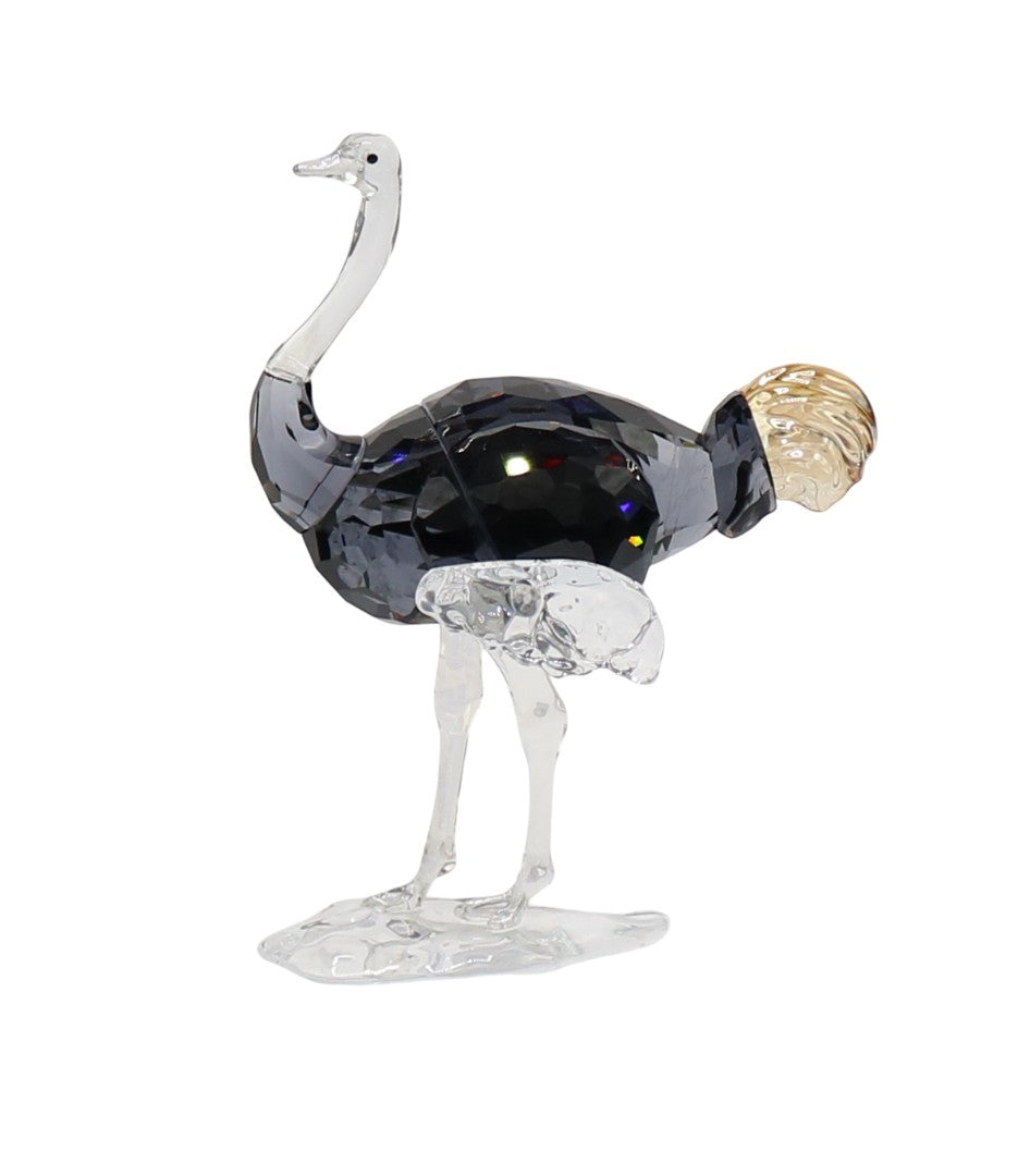 Swarovski 5655682 Elegance of Africa SCS Struzzo Signature Makena Firmata
